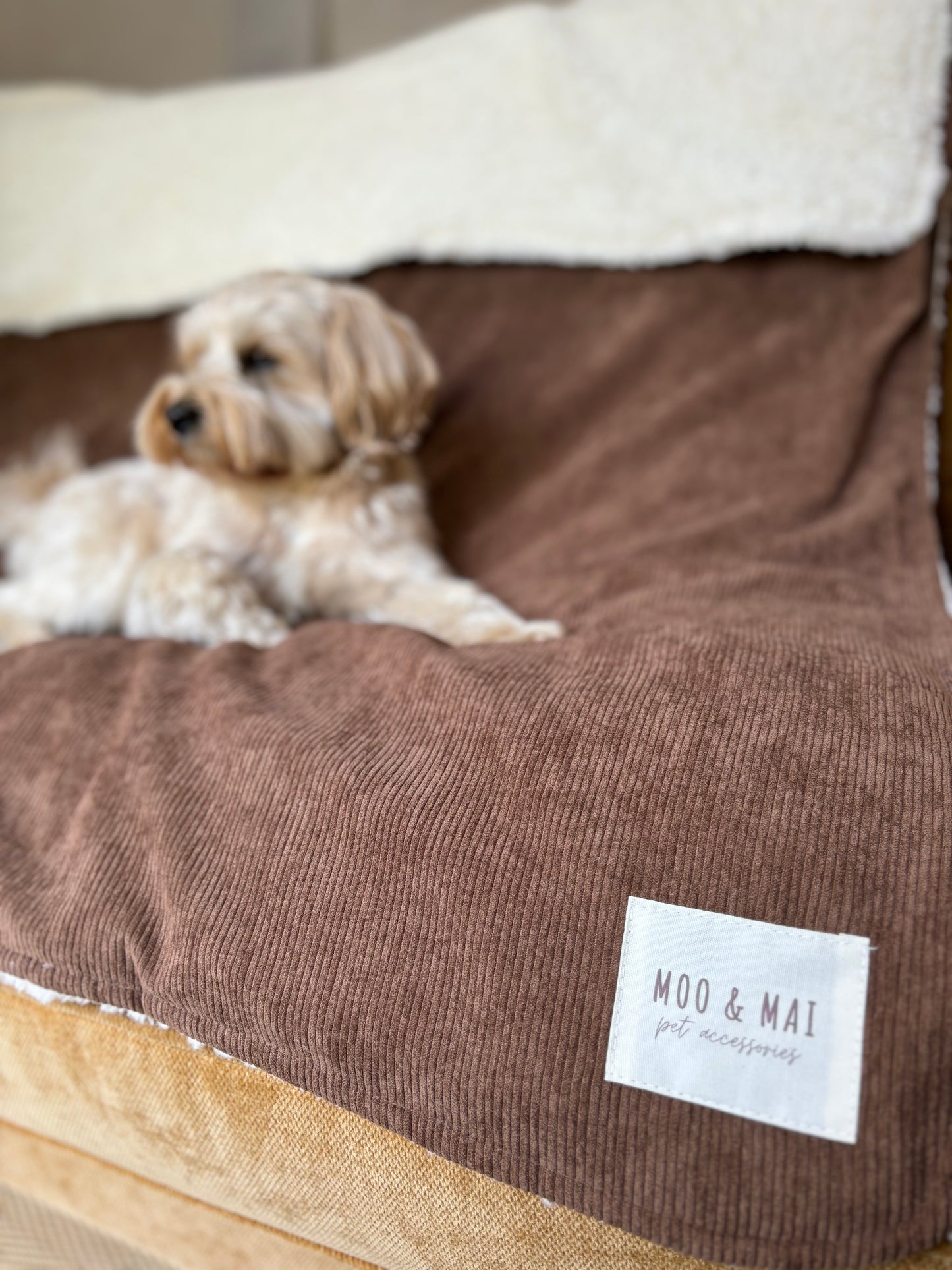 ‘Choc Chip’ Snuggle Size Blanket