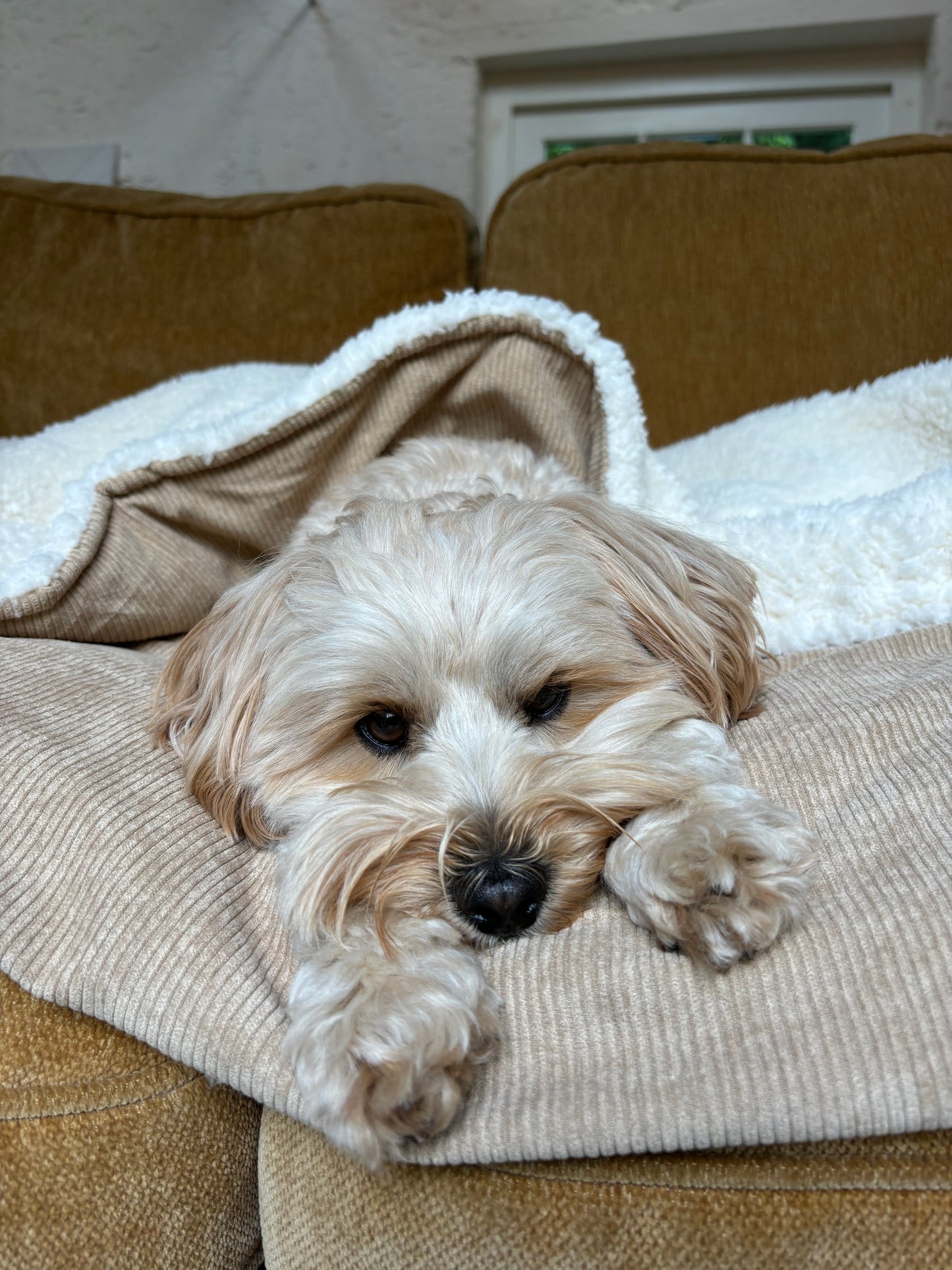 ‘Sandy Shores’ - Snuggle Size Blanket