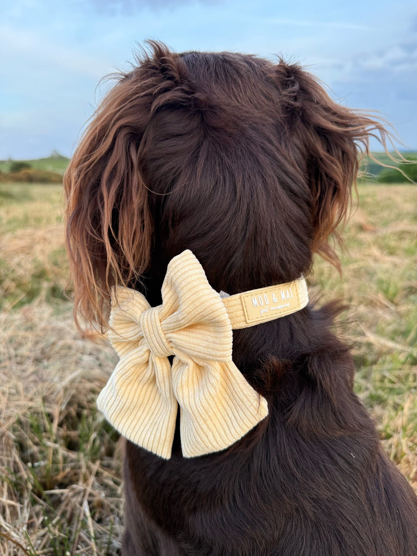 ‘Buttercream Bliss’ Sailor Bow