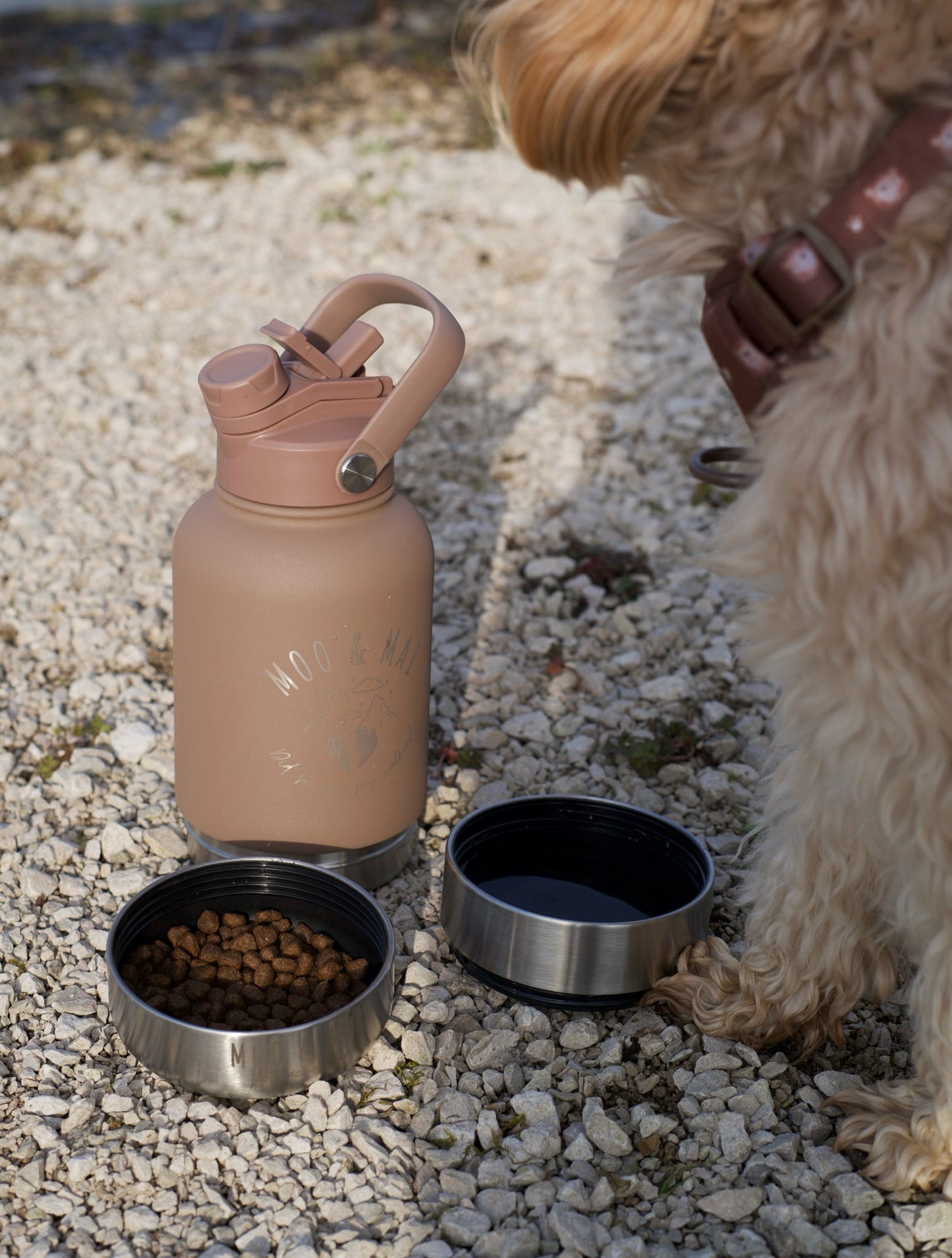3 in 1 Water Bottle - Mocha