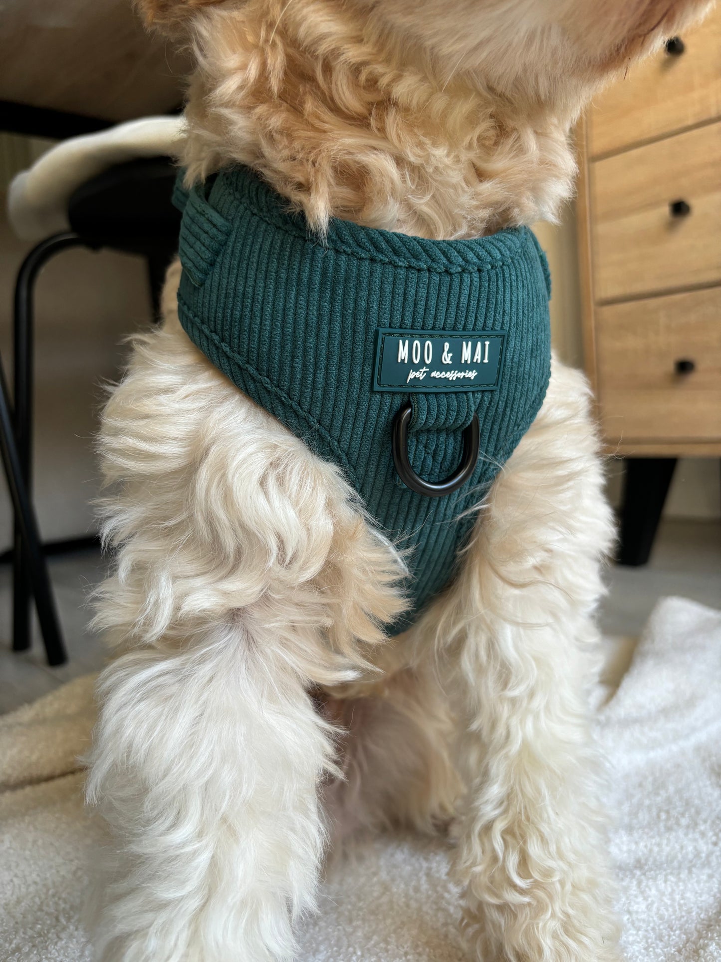 ‘Midnight Moss’ - Adjustable Harness