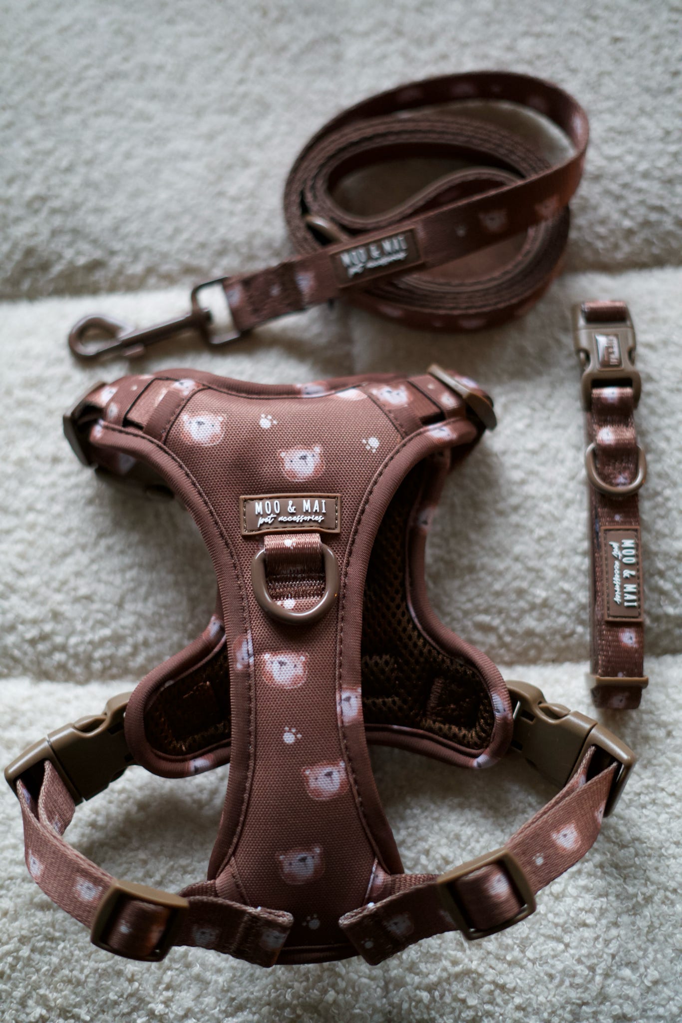 NEW ‘Beary Cute’ 3 Piece Essentials Walkies Bundle