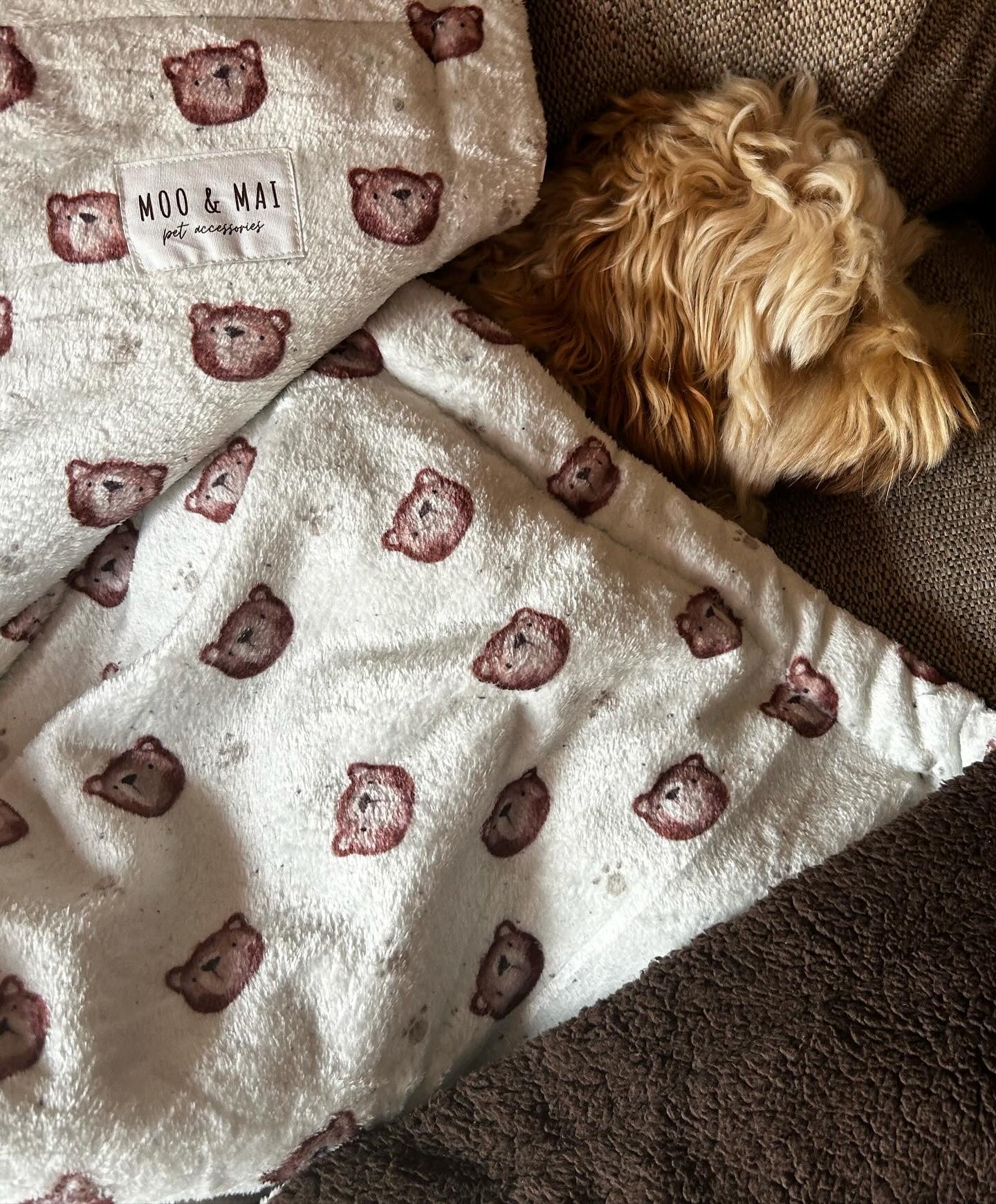 “Beary Cute” Blanket