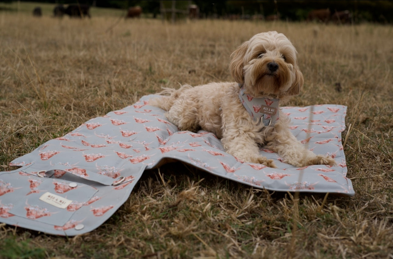 ‘Milo Moo’ Settle/ Travel Mat
