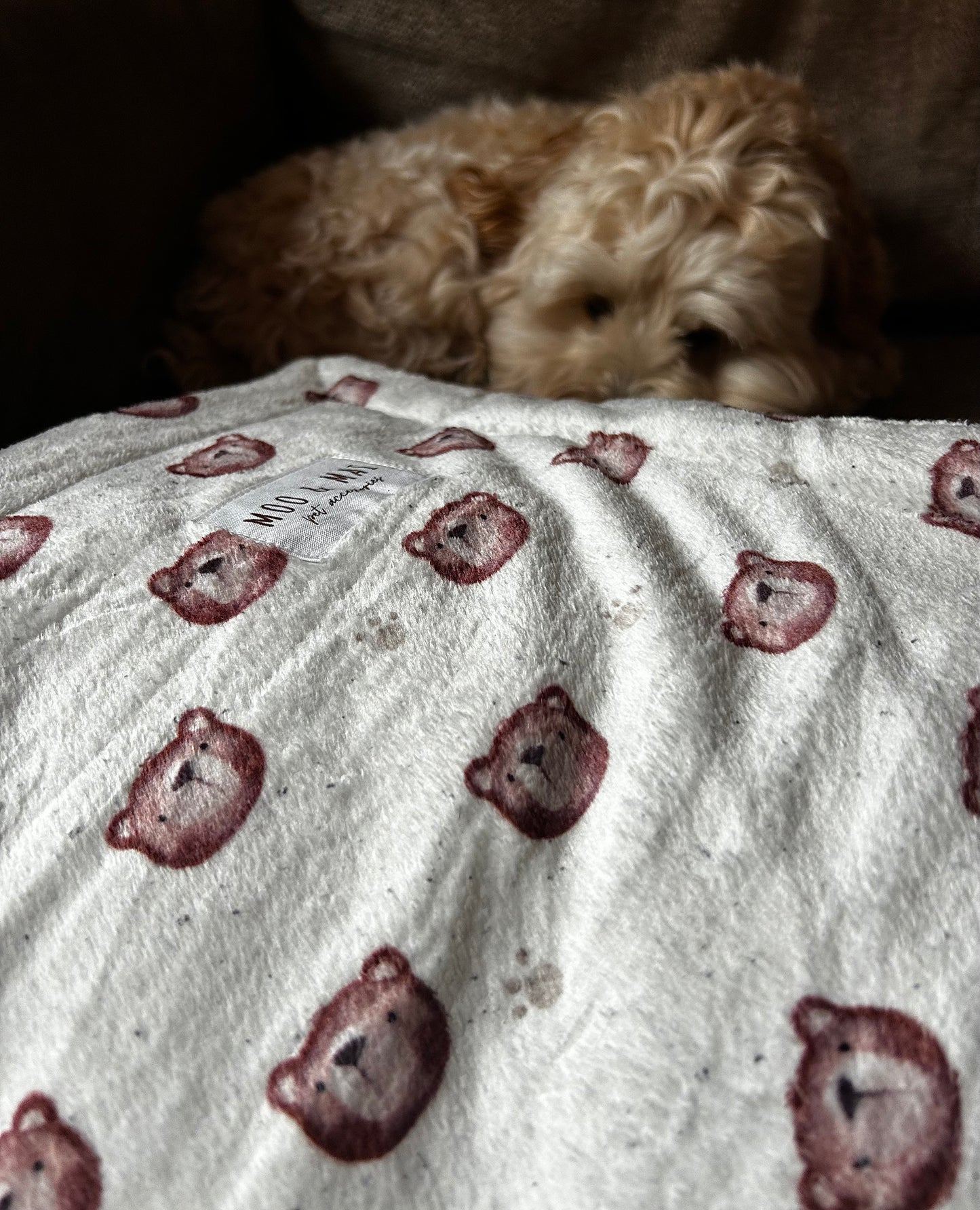 “Beary Cute” Blanket