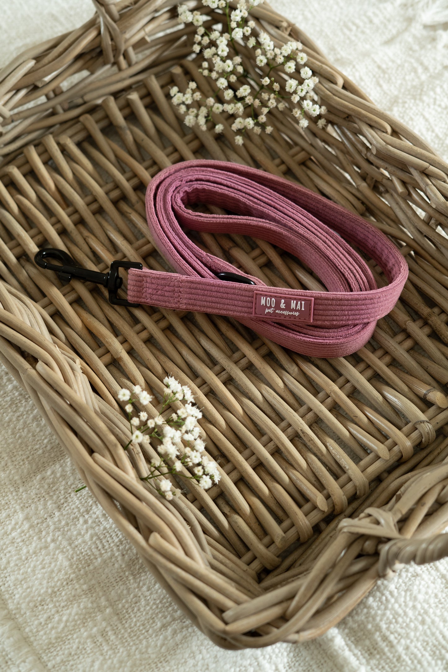 'Raspberry Ripple' Lead