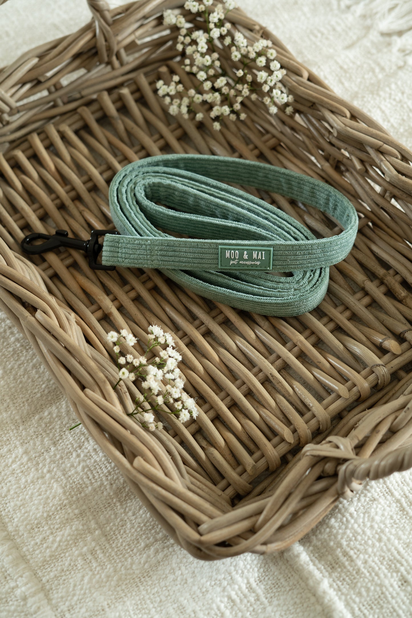 'Peppermint Tides' Lead