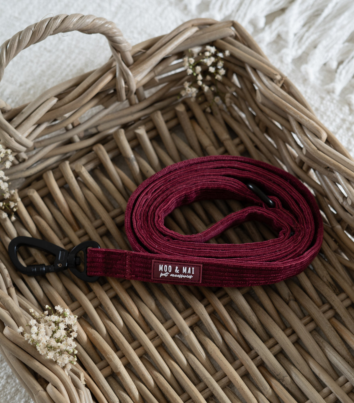 ‘Berry Bramble’ - Carabiner Lead