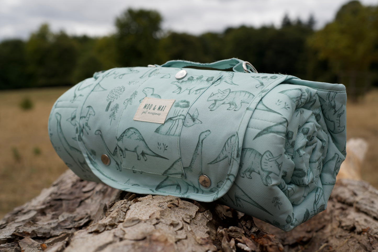 ‘Fossil & Fern’ Settle/ Travel Mat