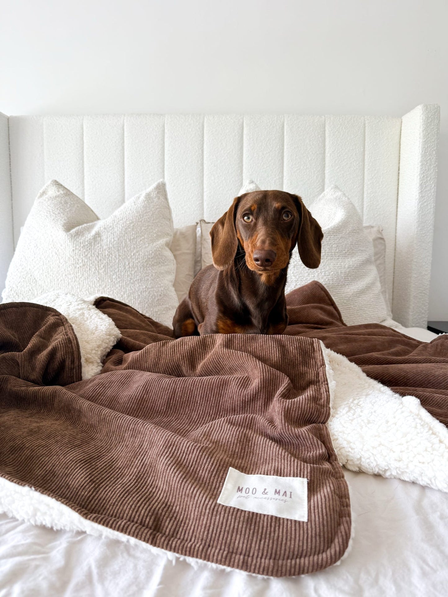 ‘Choc Chip’ Snuggle Size Blanket