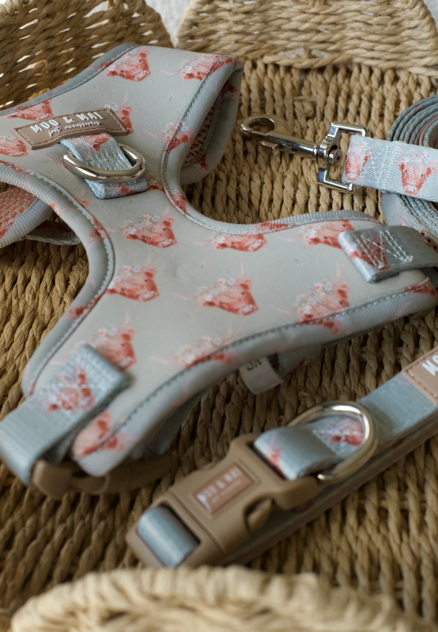 ‘Milo Moo’ 3 Piece Walkies Bundle