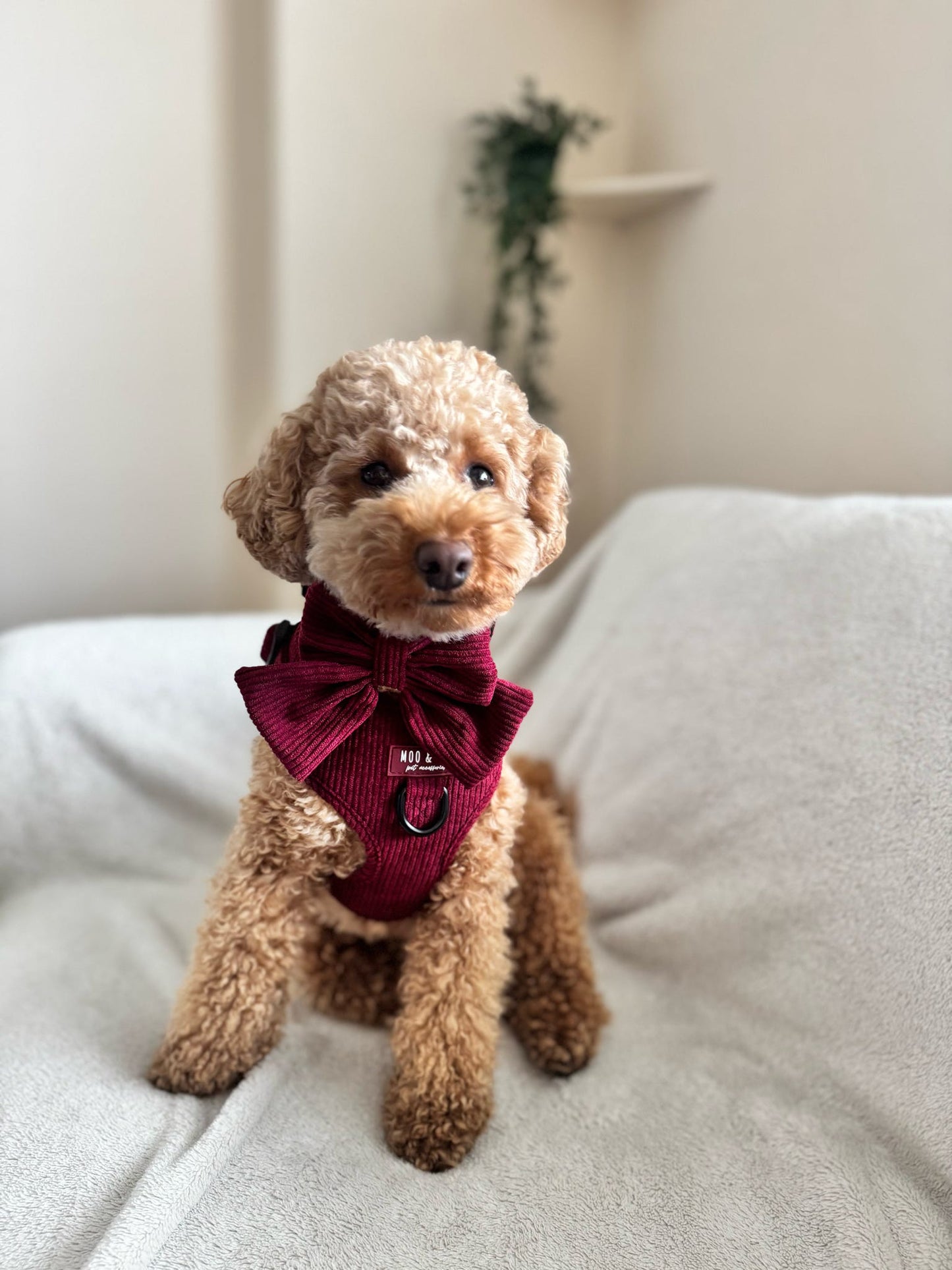 ‘Berry Bramble’ Sailor Bow