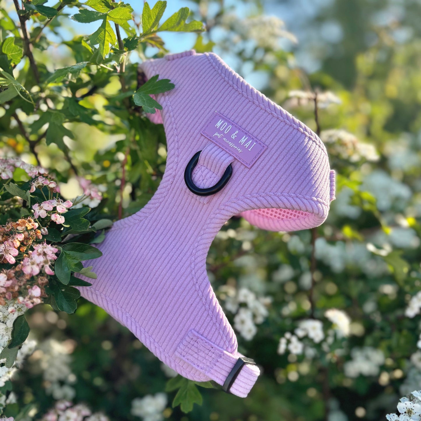 ‘Lavender Daze’ - Adjustable Harness