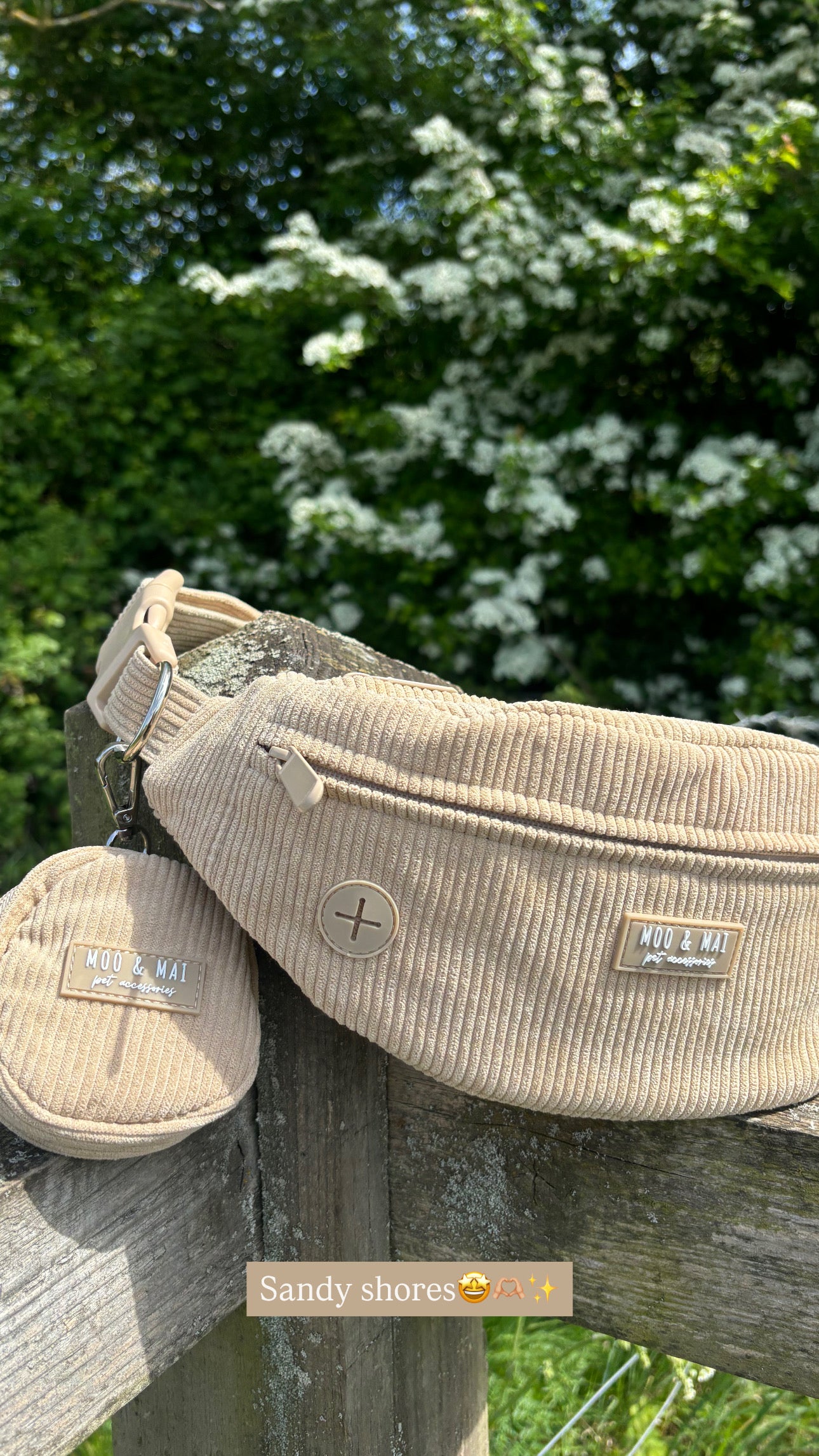 NEW - Corduory Bumbag & Treat Pouch in ‘Sand’