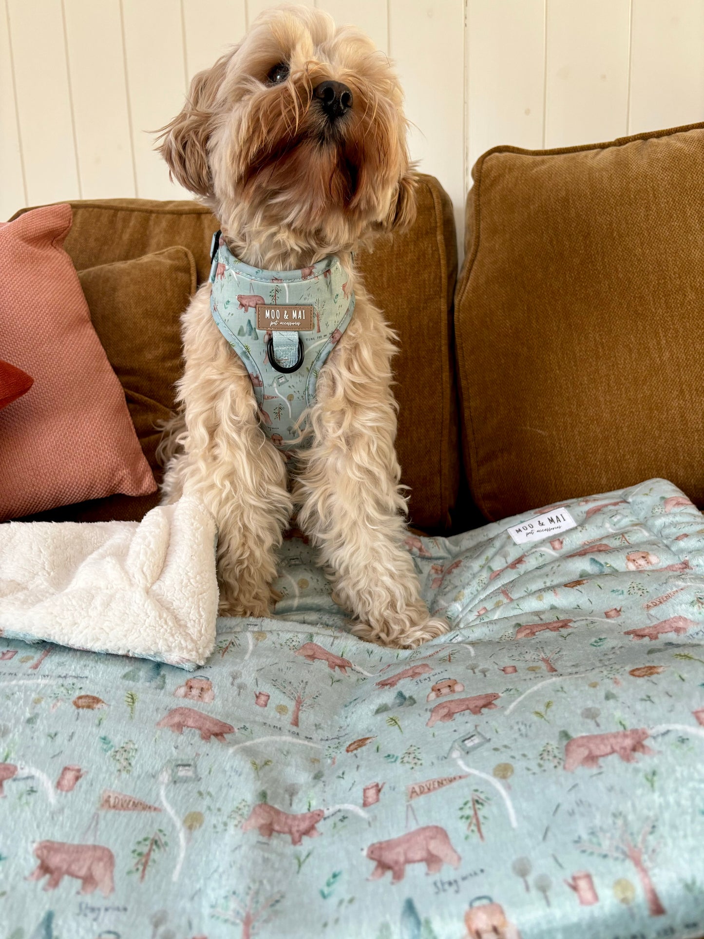 ‘Bear Necessities’ Blanket