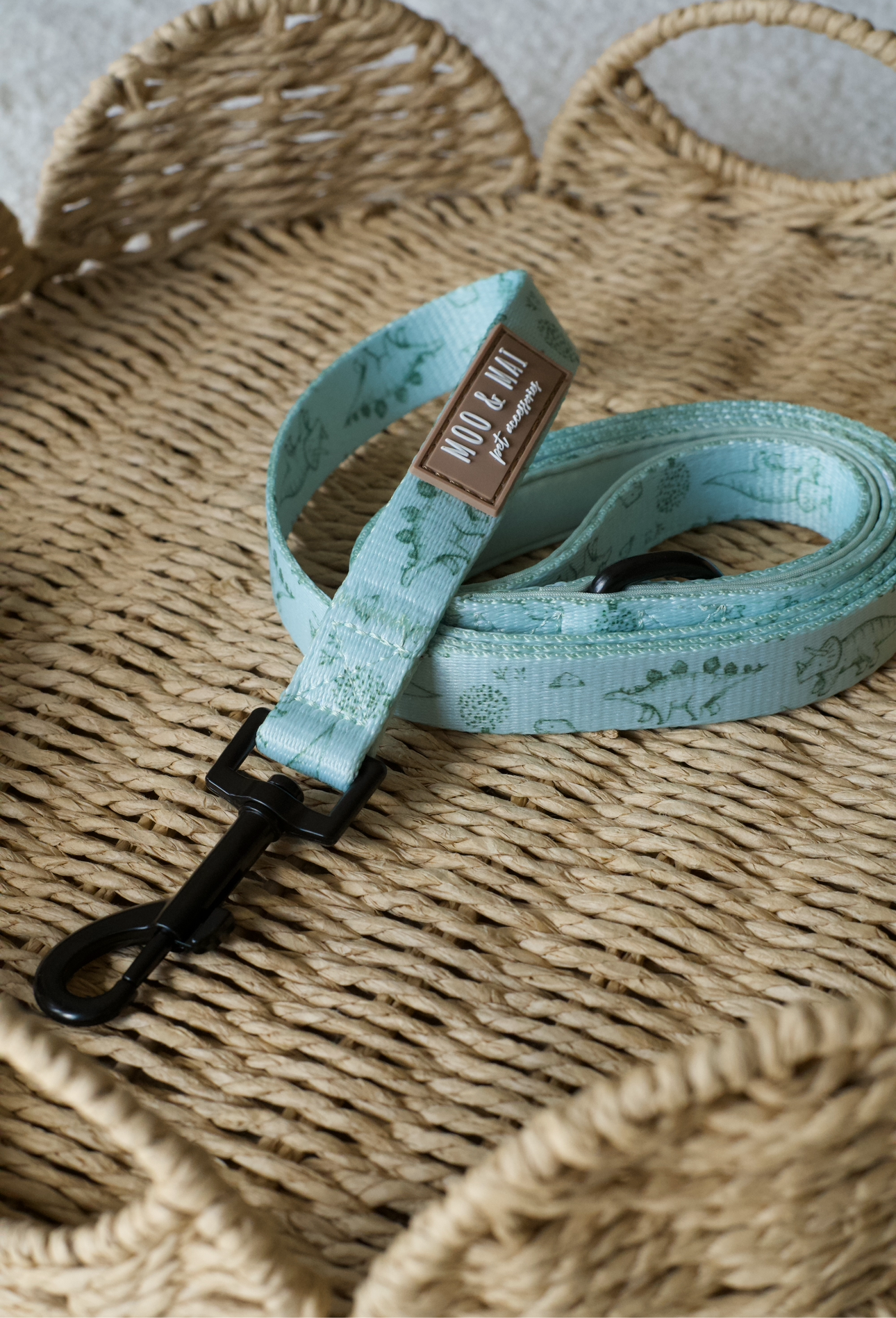 ‘Fossil & Fern’ Lead