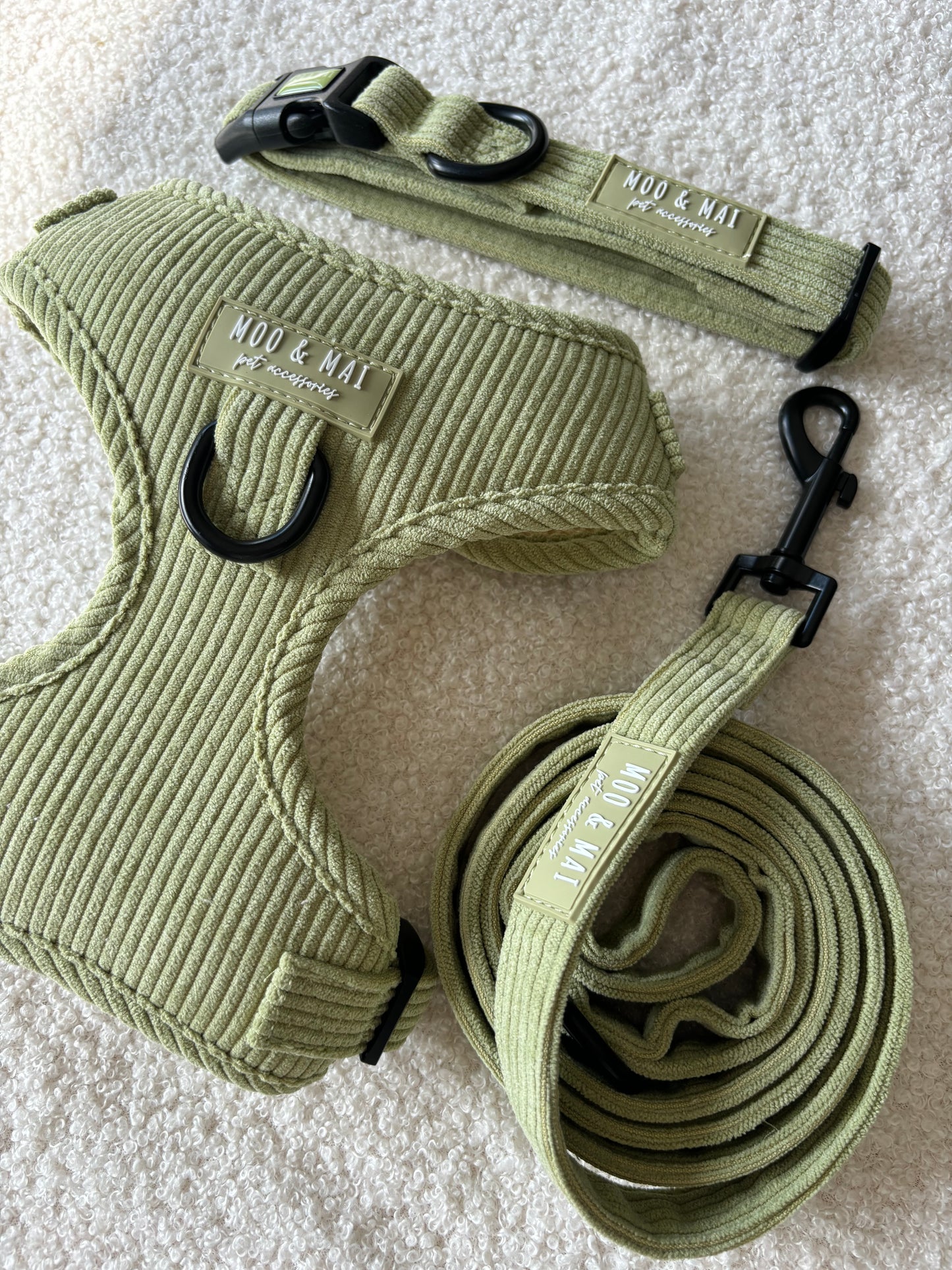 ‘Pistachio Paws’ 3 Piece Essentials Walkies set
