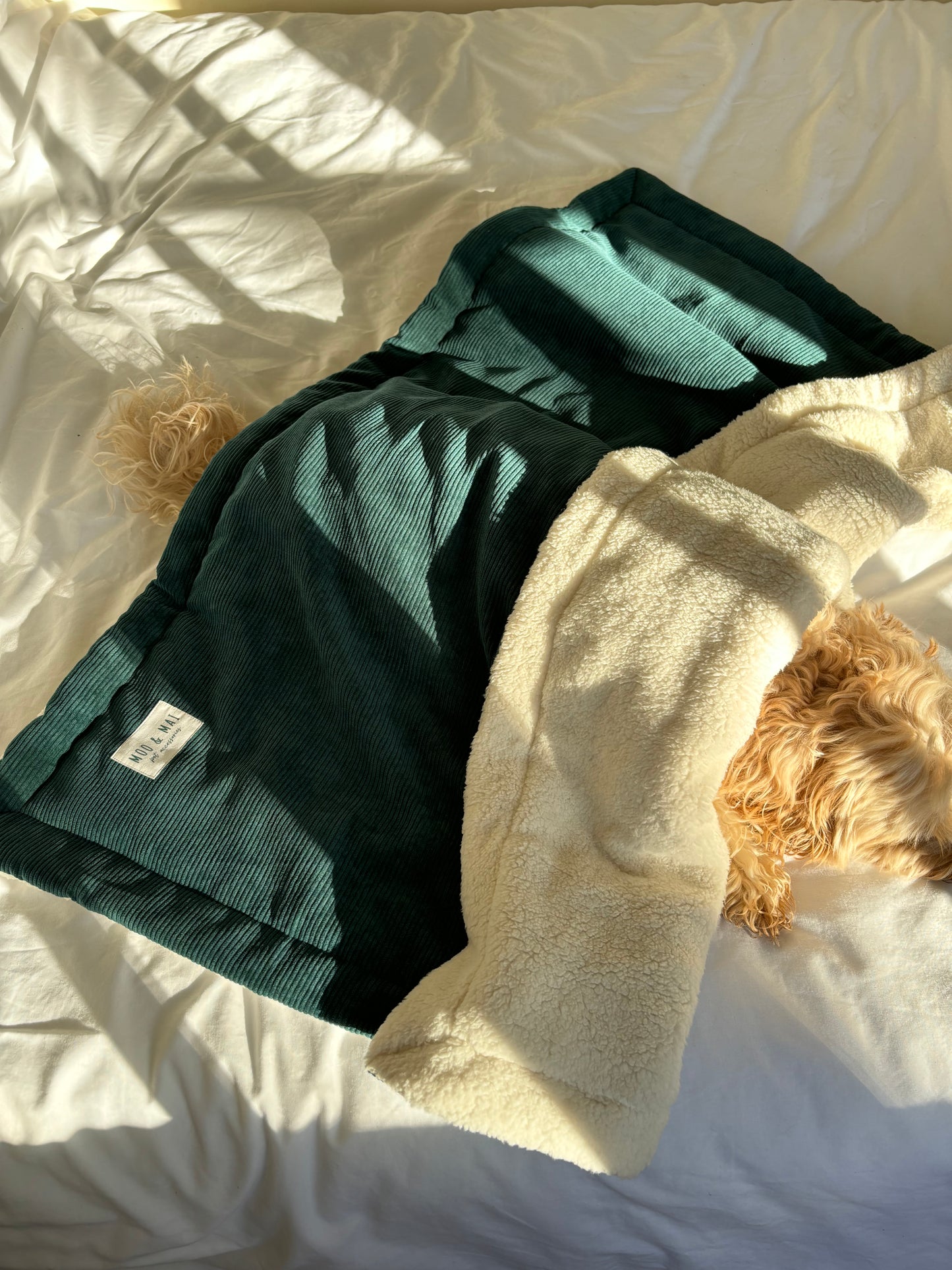 ‘Midnight Moss’ Blanket