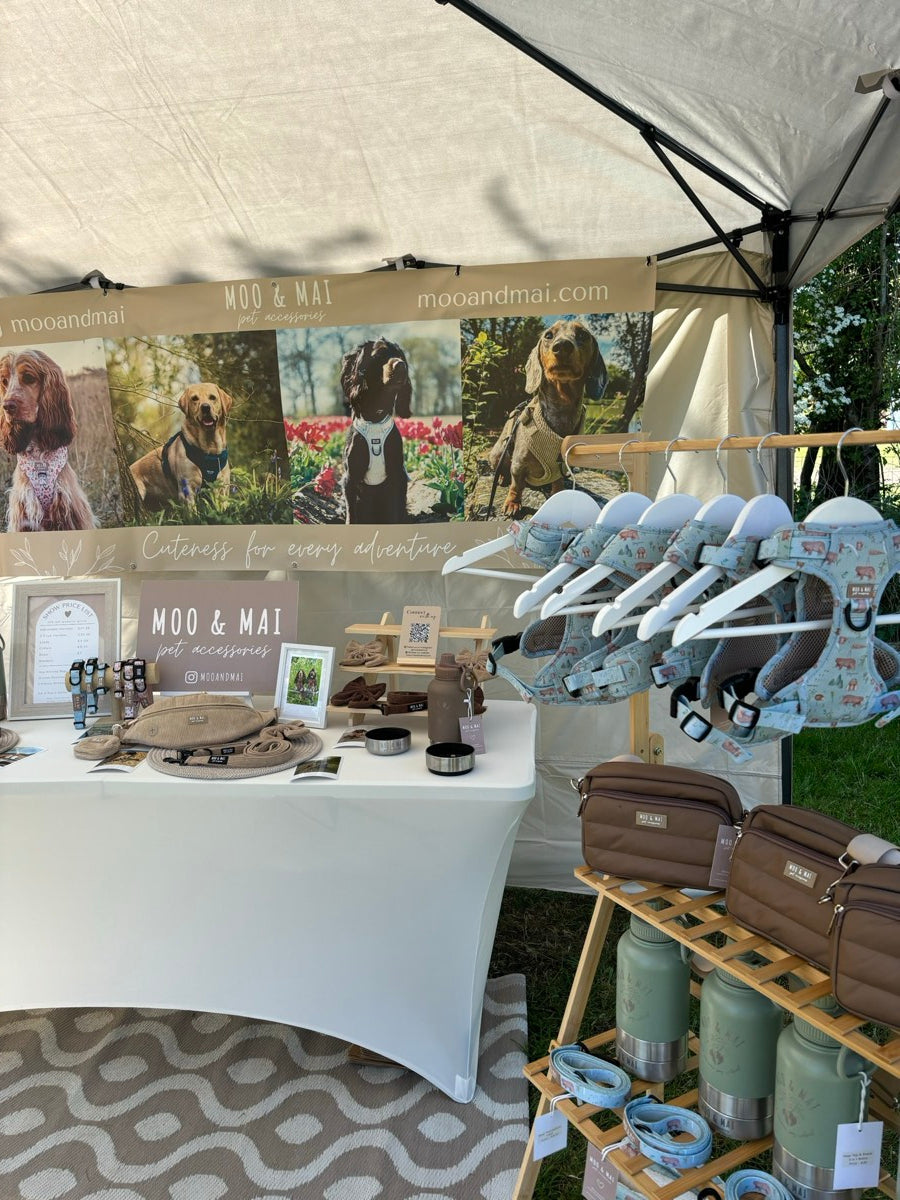 Moo and Mai out and about at a dog event