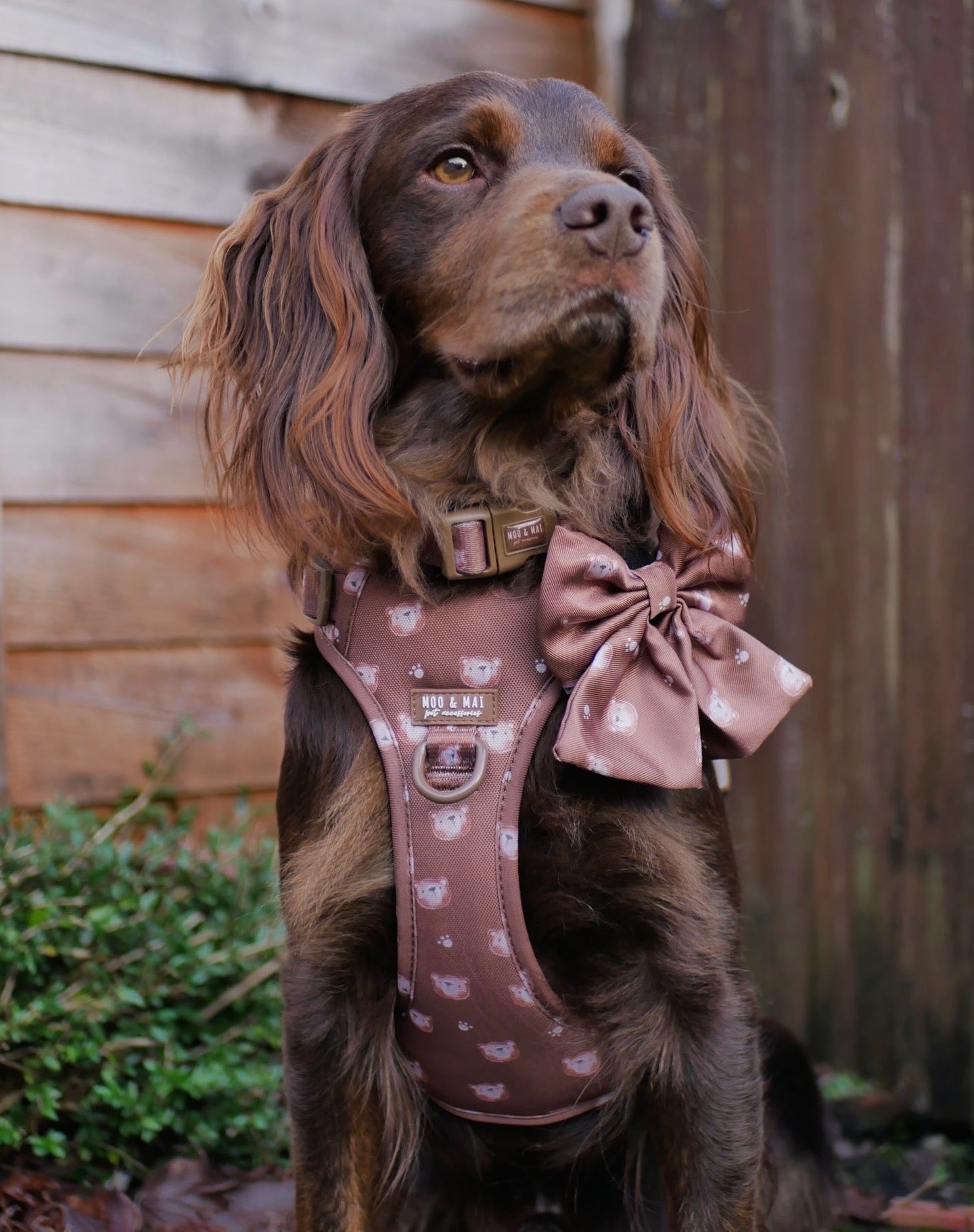 New ‘Beary Cute’ Sailor Bow