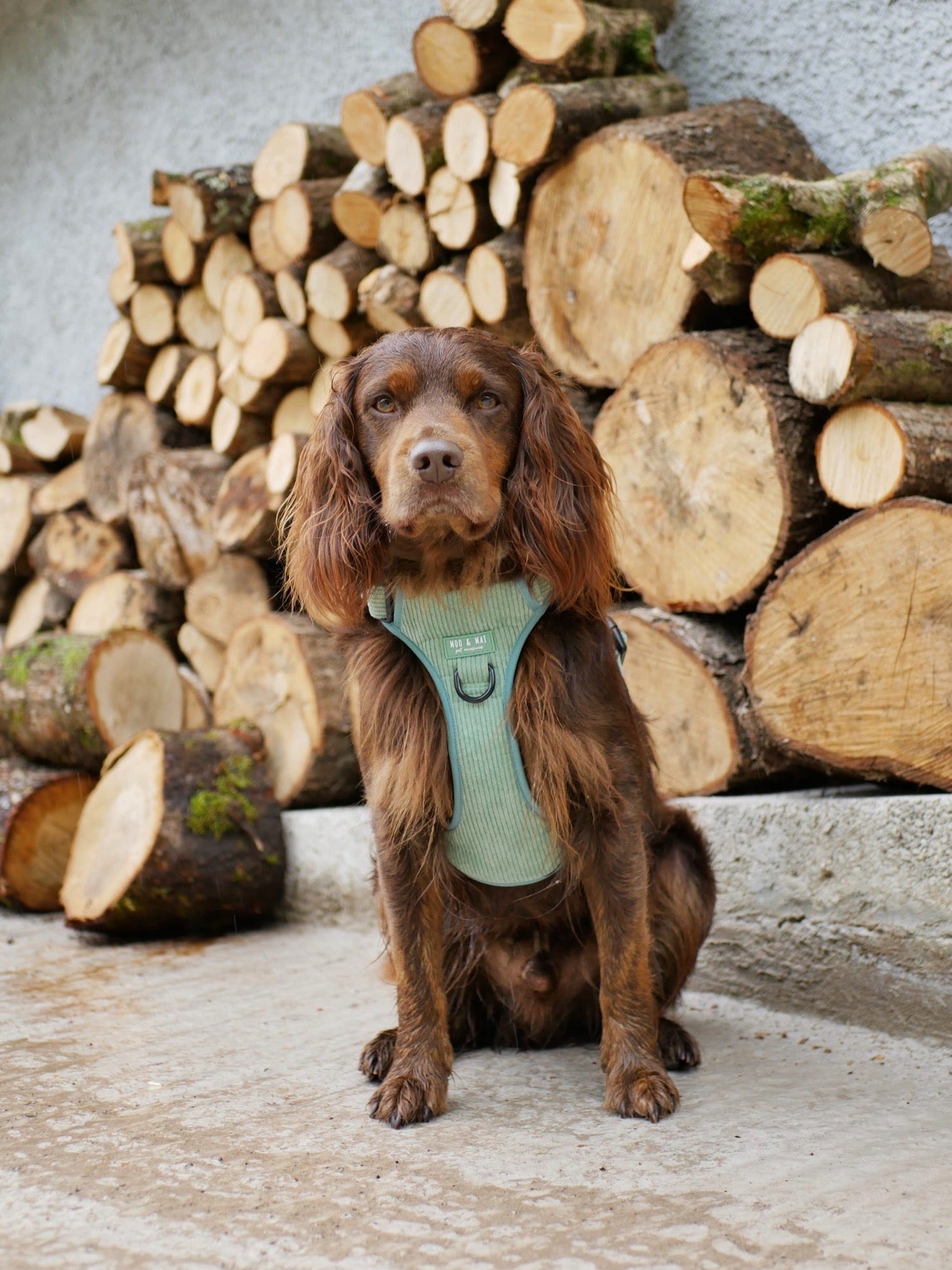 'Peppermint Tides' - 3 Piece Walkies Bundle