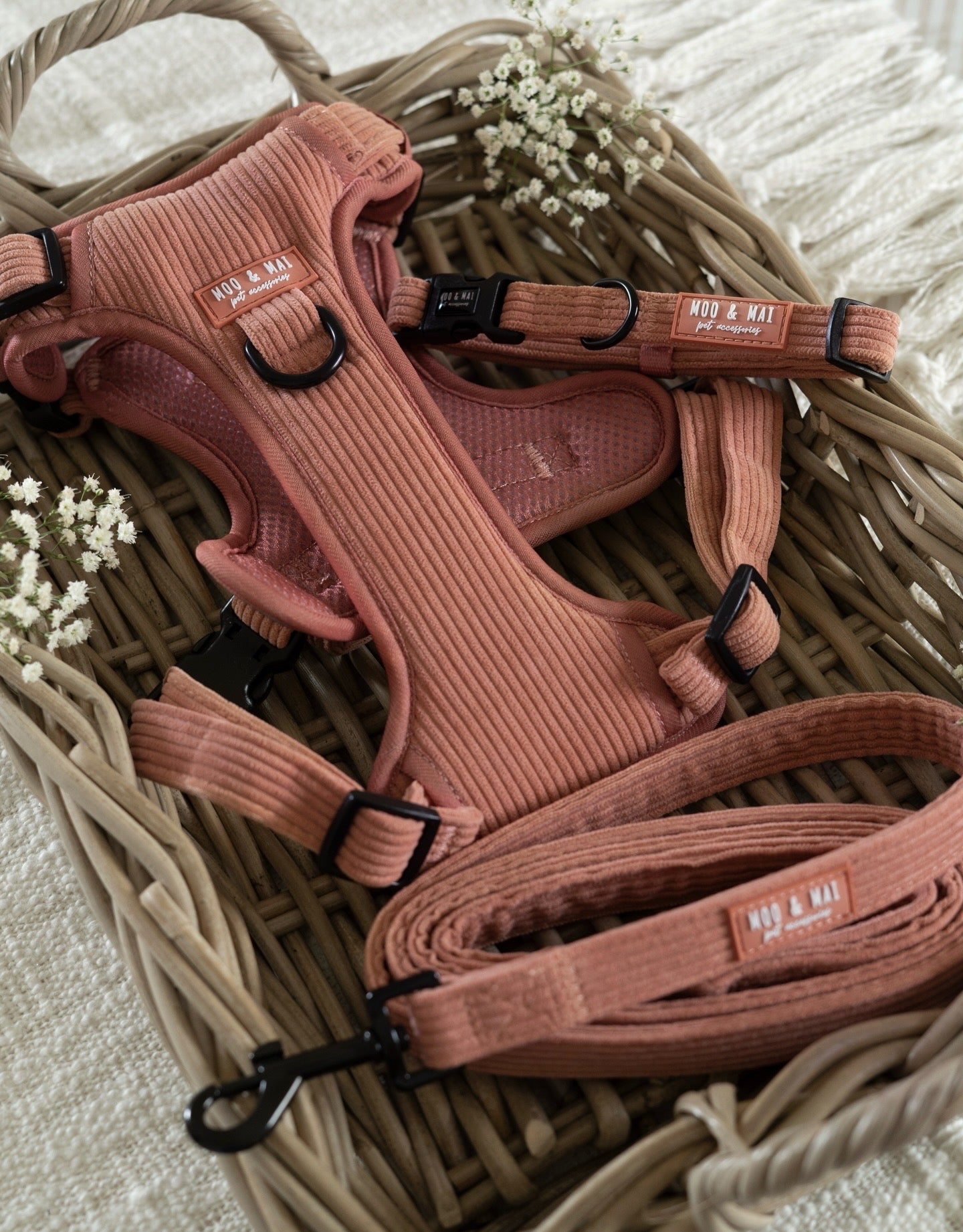 'Coral Cove' - 3 Piece Walkies Bundle