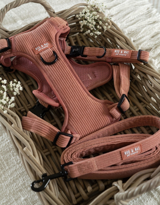'Coral Cove' - 3 Piece Walkies Bundle