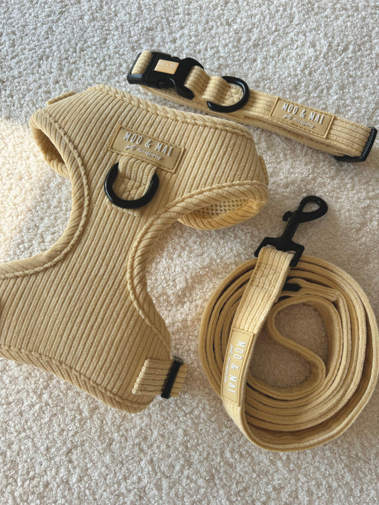‘Buttercream Bliss’ 3 Piece Essential Walkies Set
