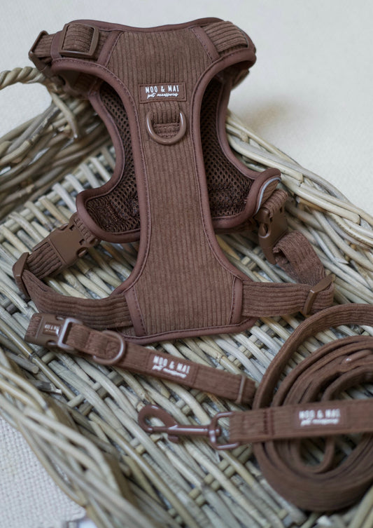‘Choc Chip’ 3 Piece Essentials Walkies Set