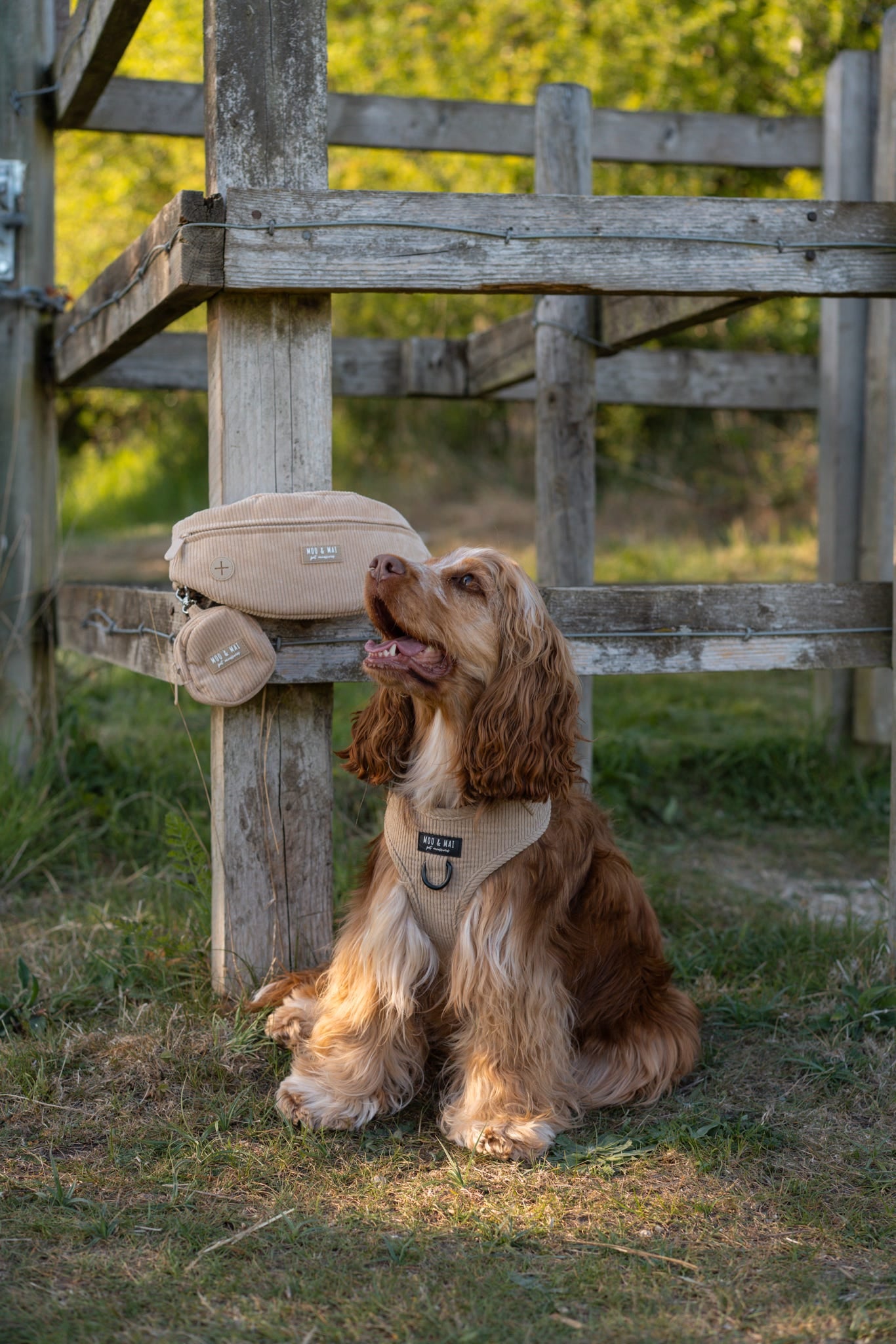 NEW - Corduory Bumbag & Treat Pouch in ‘Sand’