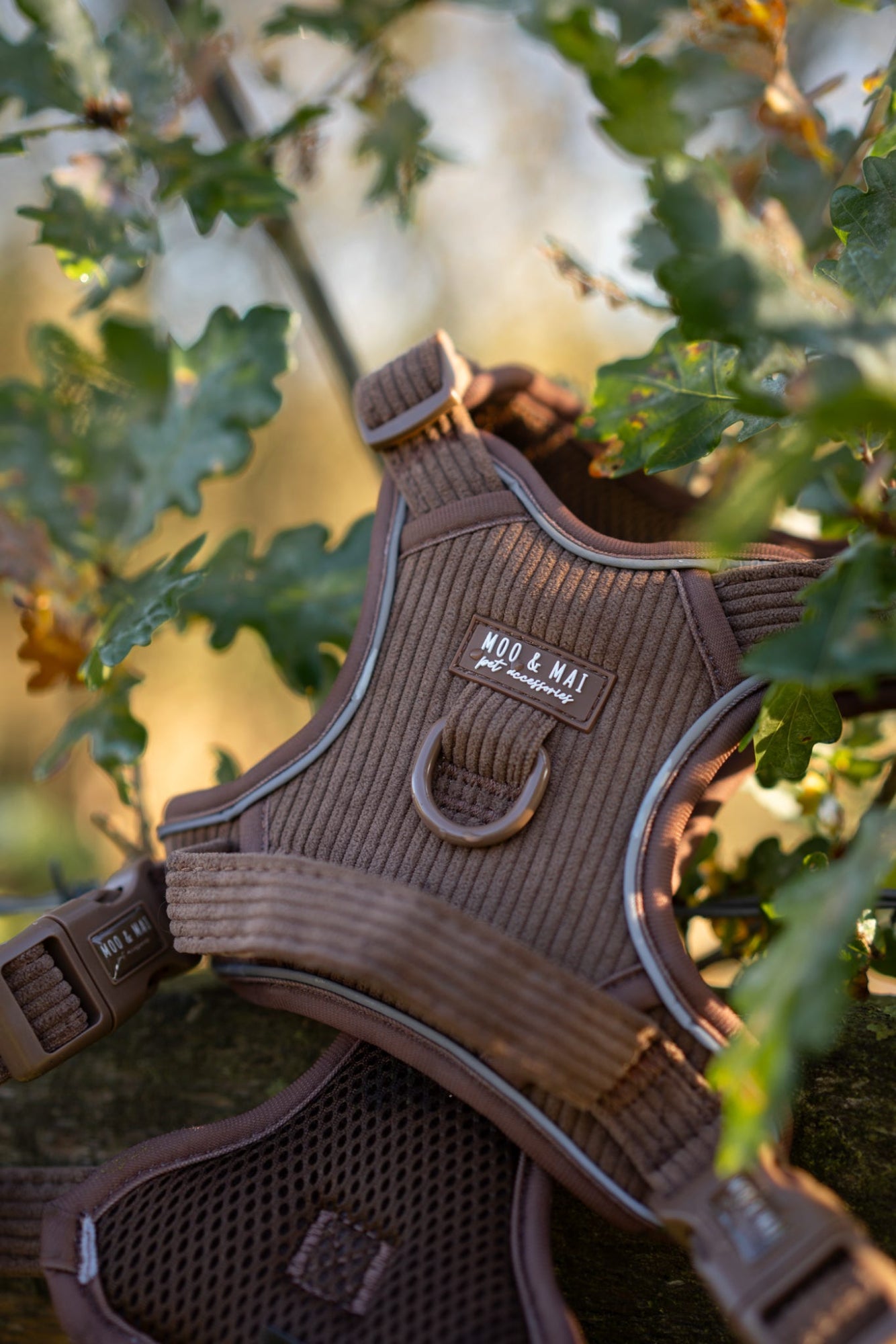 ‘Choc Chip’ 3 Piece Essentials Walkies Set