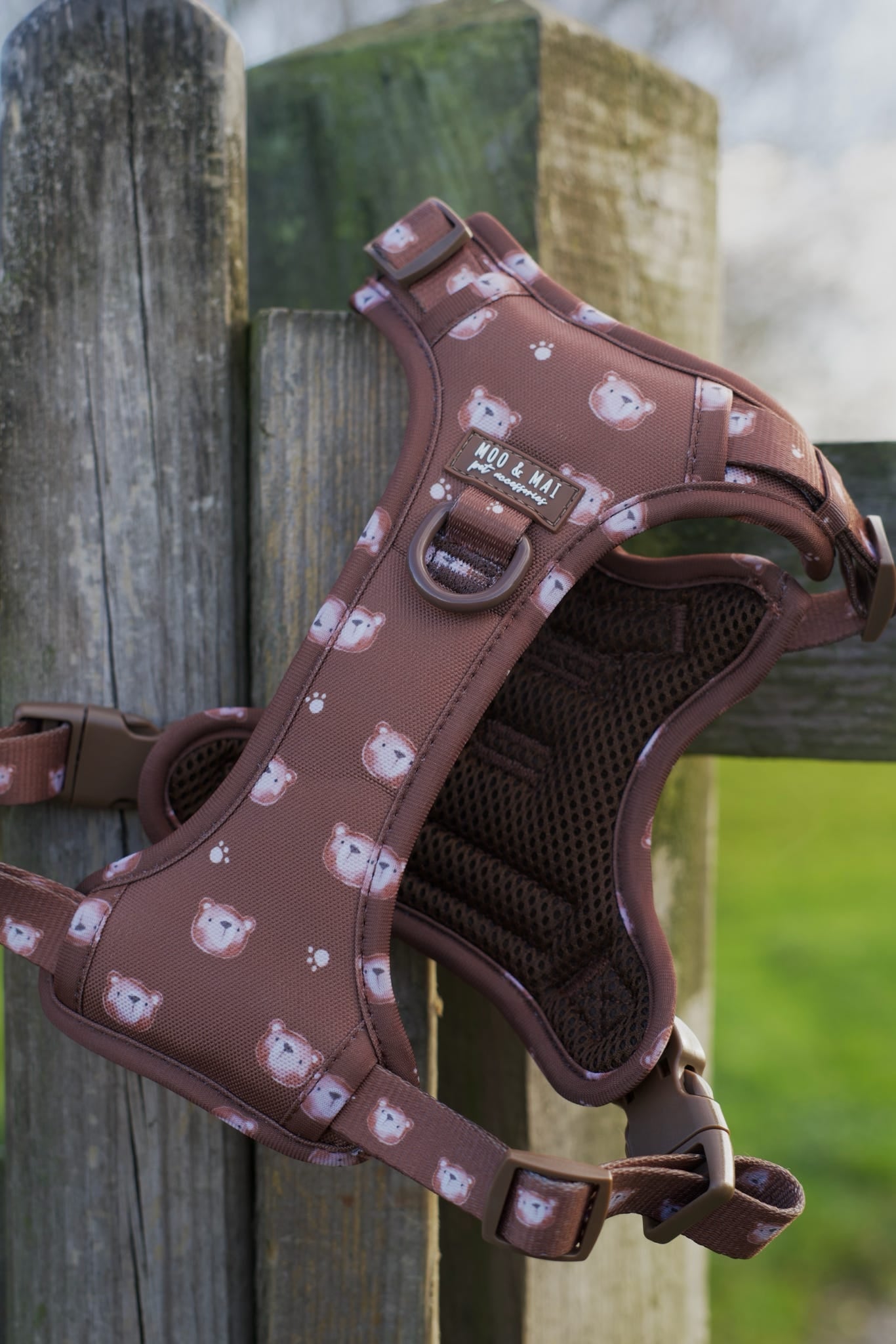 NEW ‘Beary Cute’ 3 Click Harness