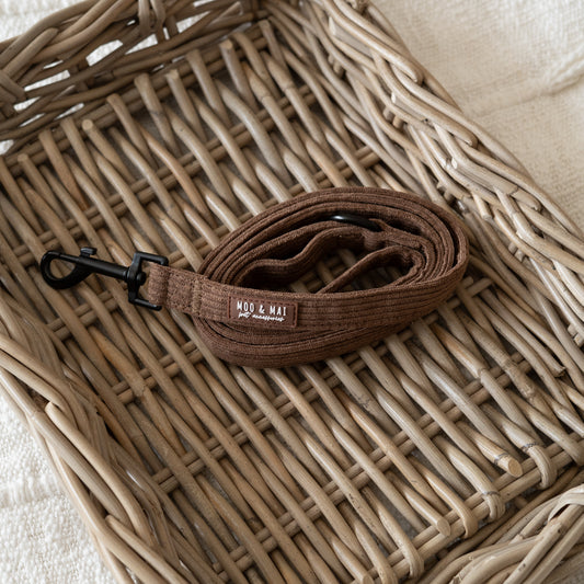 ‘Choc Chip’ Lead