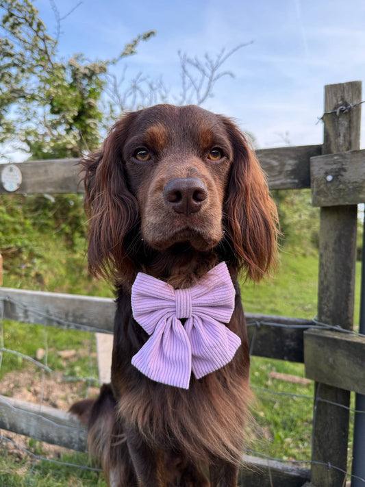 ‘Lavender Daze’ Sailor Bow