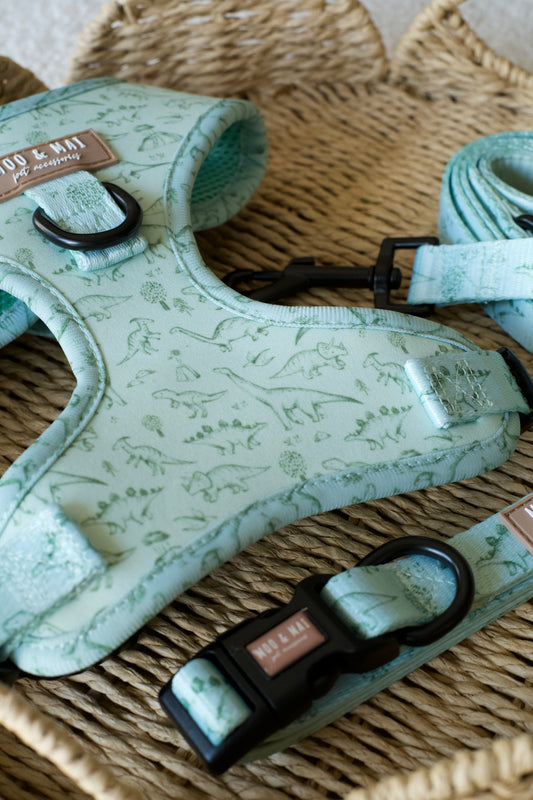 ‘Fossil & Fern’ 3 Piece Walkies Bundle