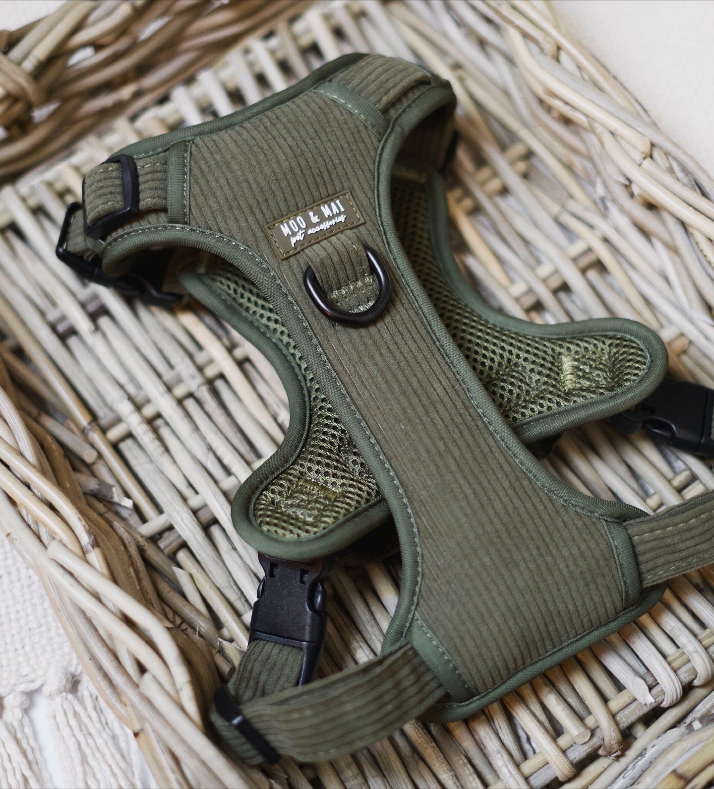 Ultimate 5 Piece Walkies Bundle ‘Olive Branch’