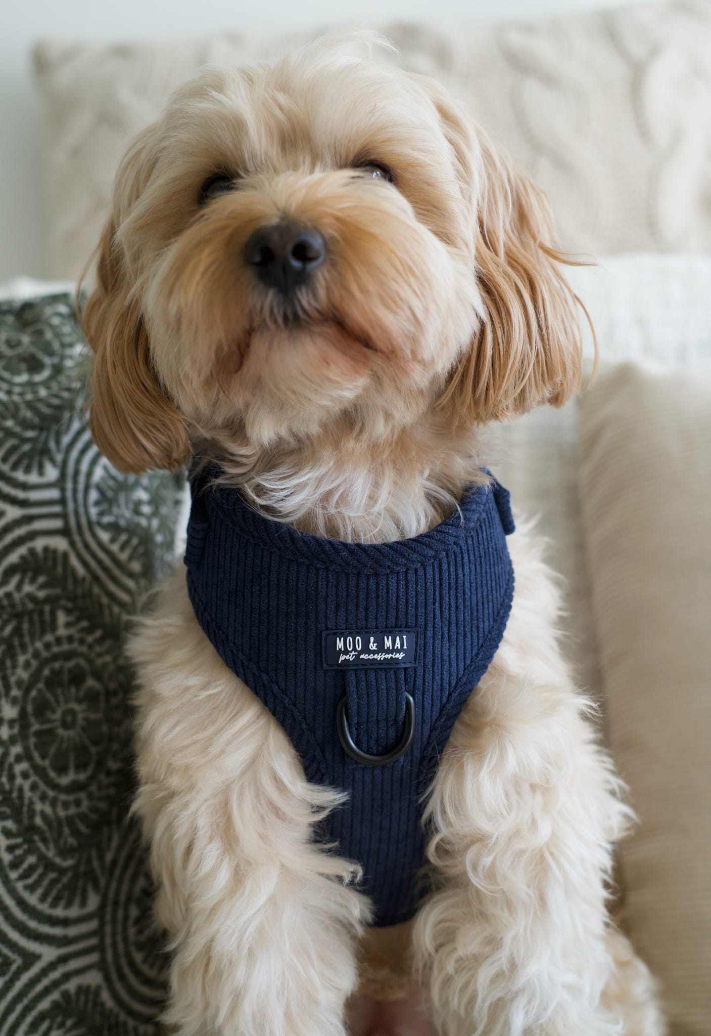 ‘Navy Noir’ Adjustable Harness