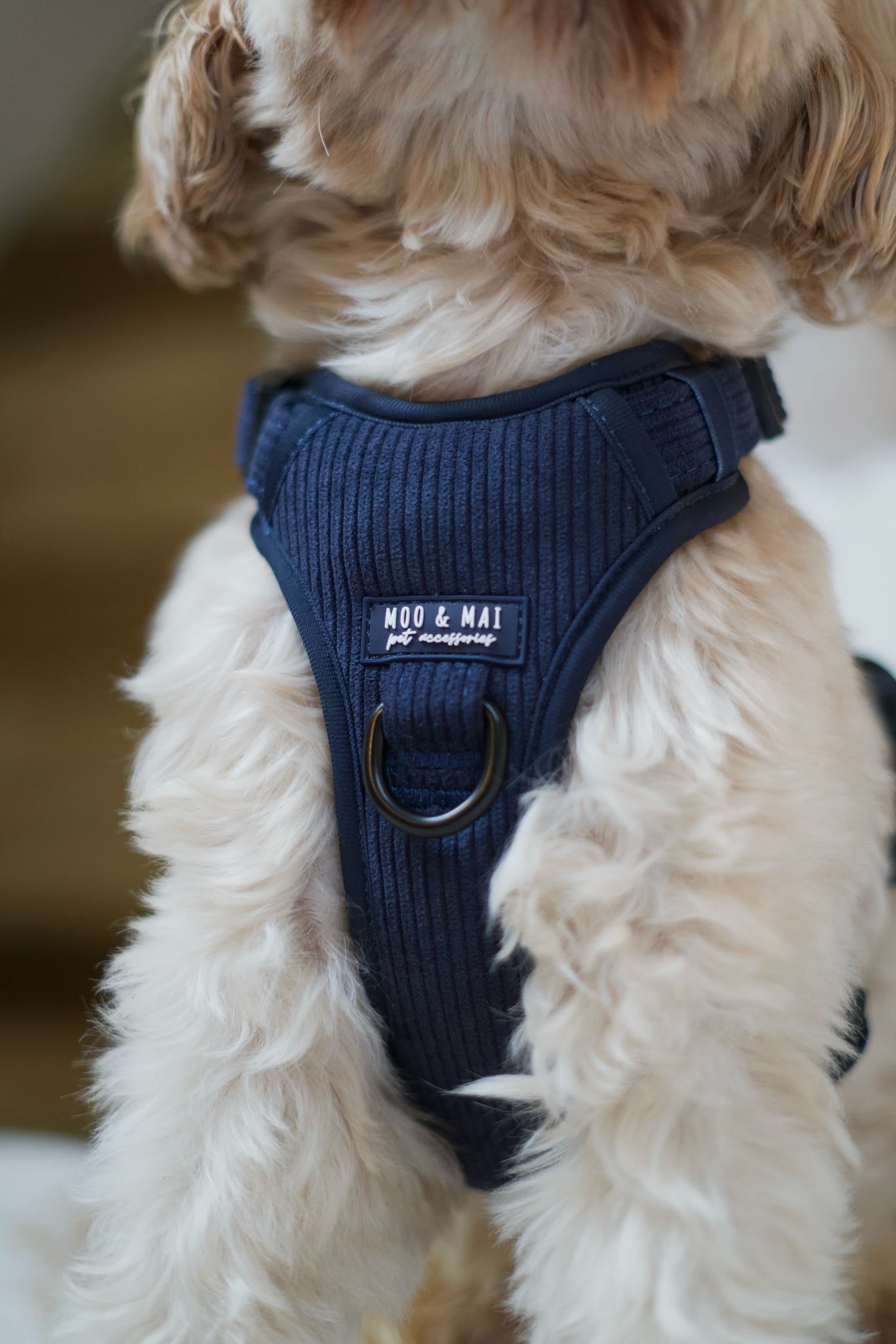 New ‘Navy Noir’ 3 Click Harness