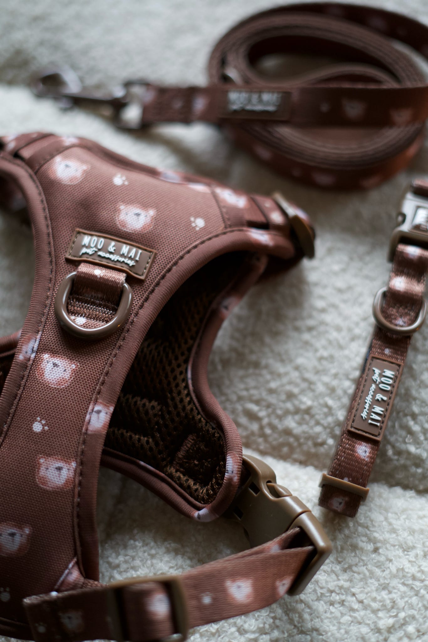 NEW ‘Beary Cute’ 3 Piece Essentials Walkies Bundle