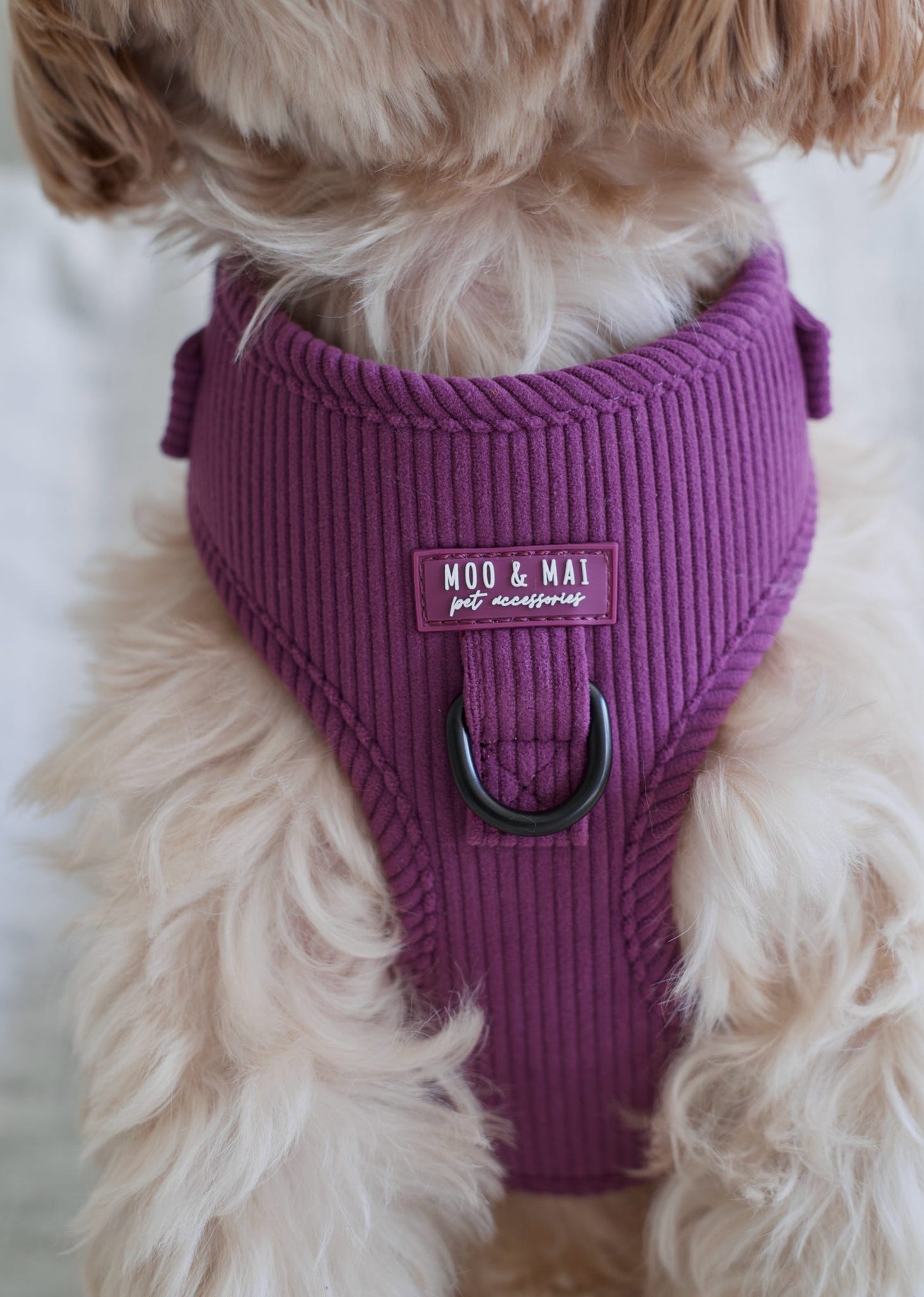 ‘Frosted Plum’ Adjustable Harness