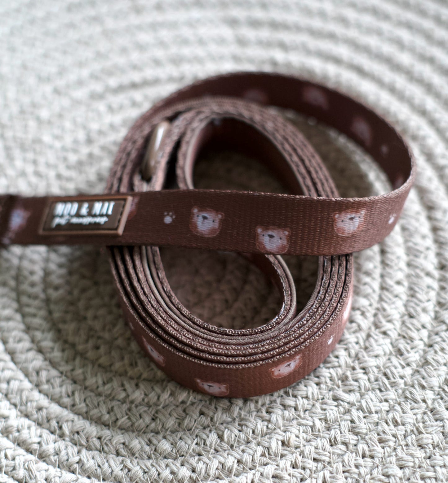 New ‘Beary Cute’ Lead