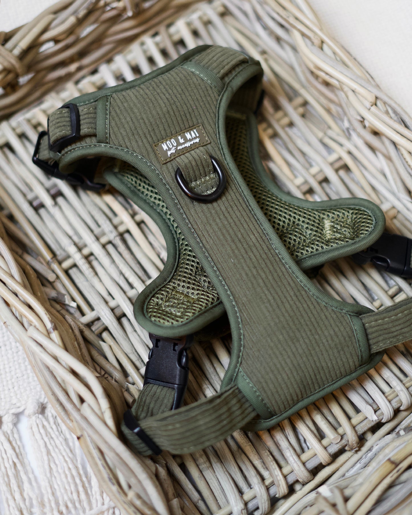 ‘Olive Branch’ 3 Piece Essentials Walkies Bundle