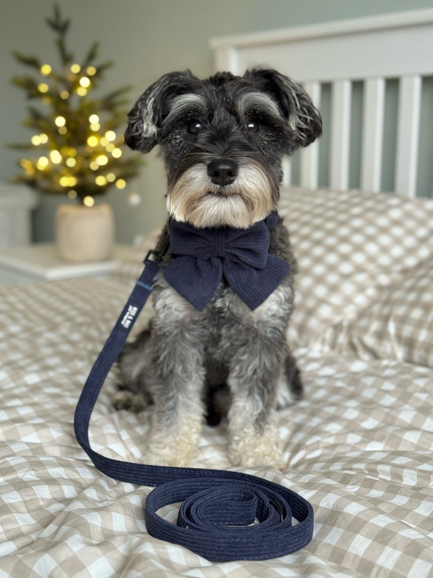 New ‘Navy Noir’ Sailor Bow