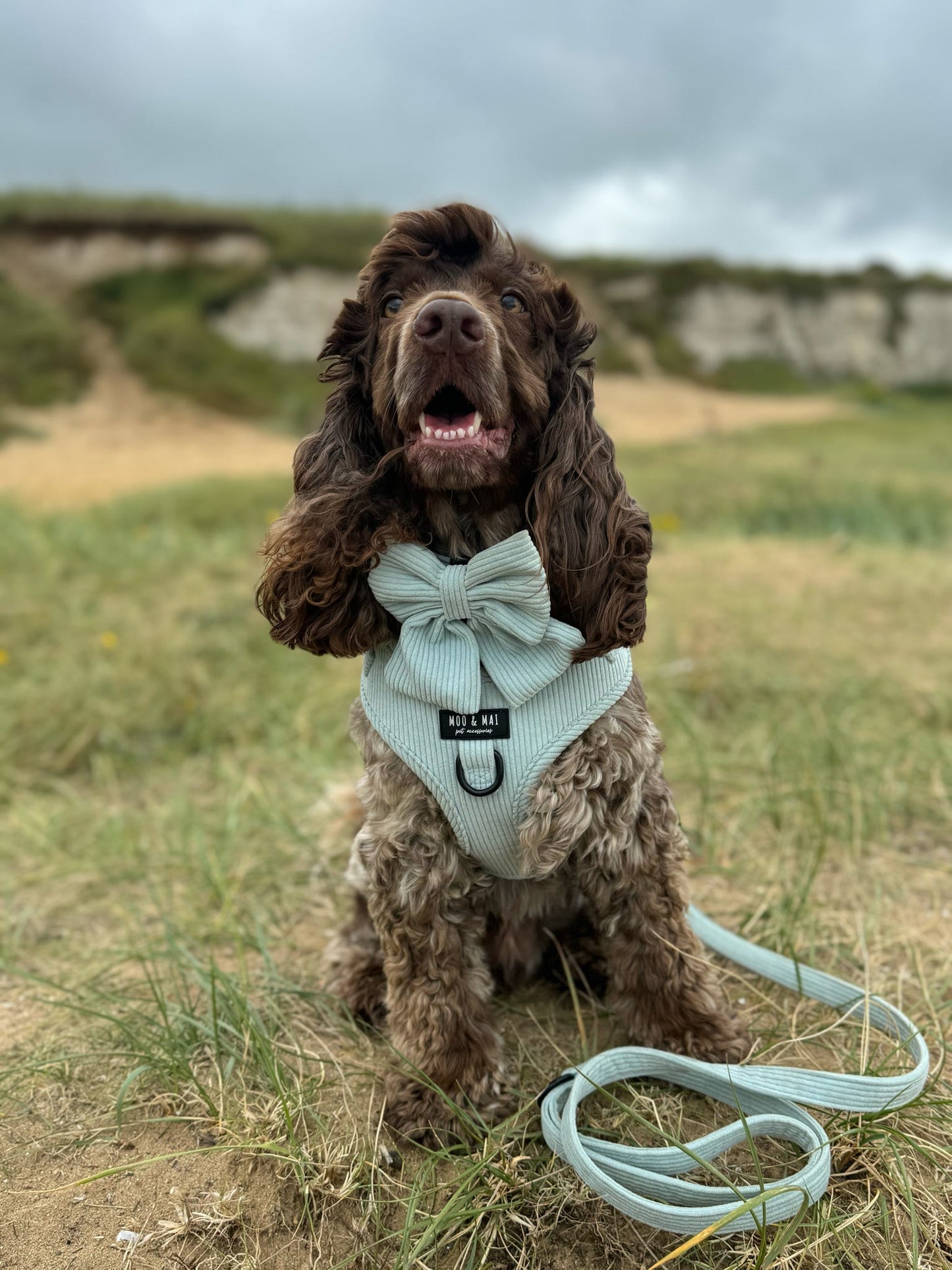 ‘Seafoam Blue’ Adjustable Harness