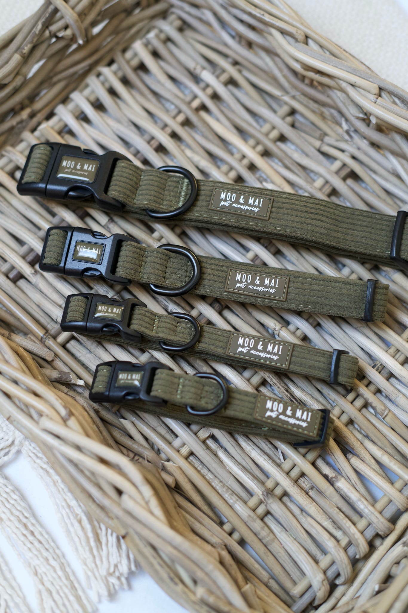 New ‘Olive Branch’ Collar