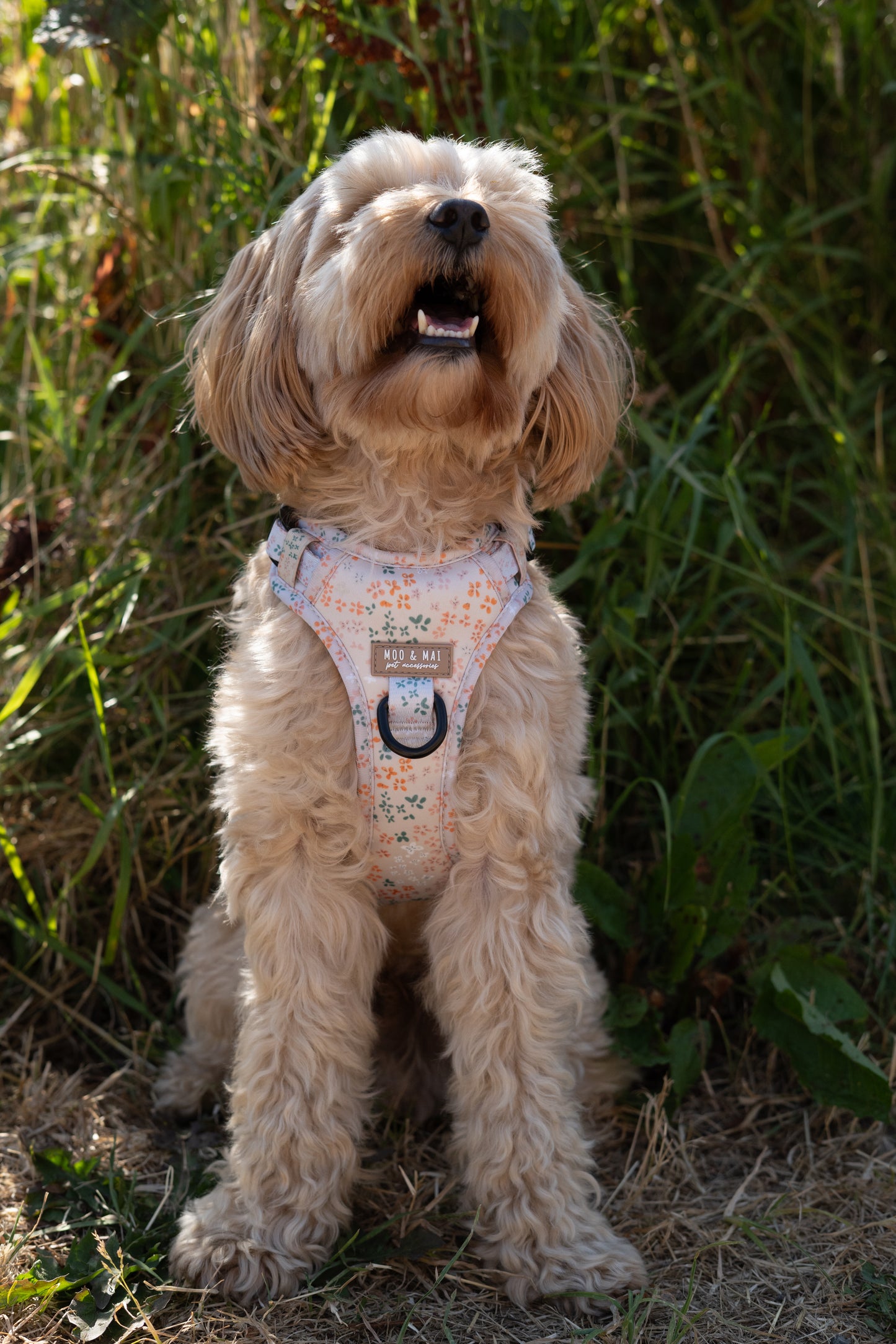 ‘Ditsy Daisy’ - 3 Piece Walkies Bundle