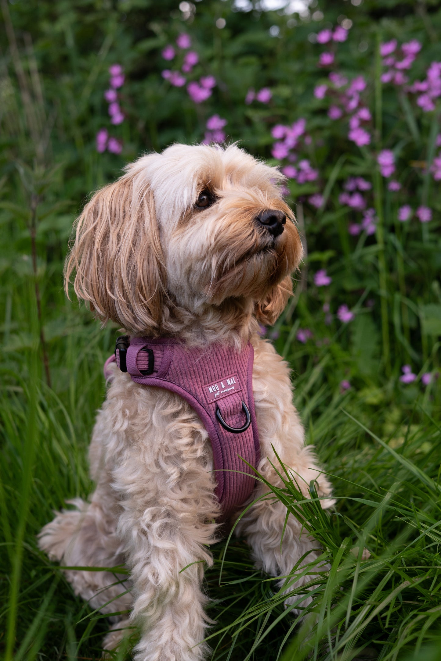 'Raspberry Ripple' - 3 Piece Walkies Bundle