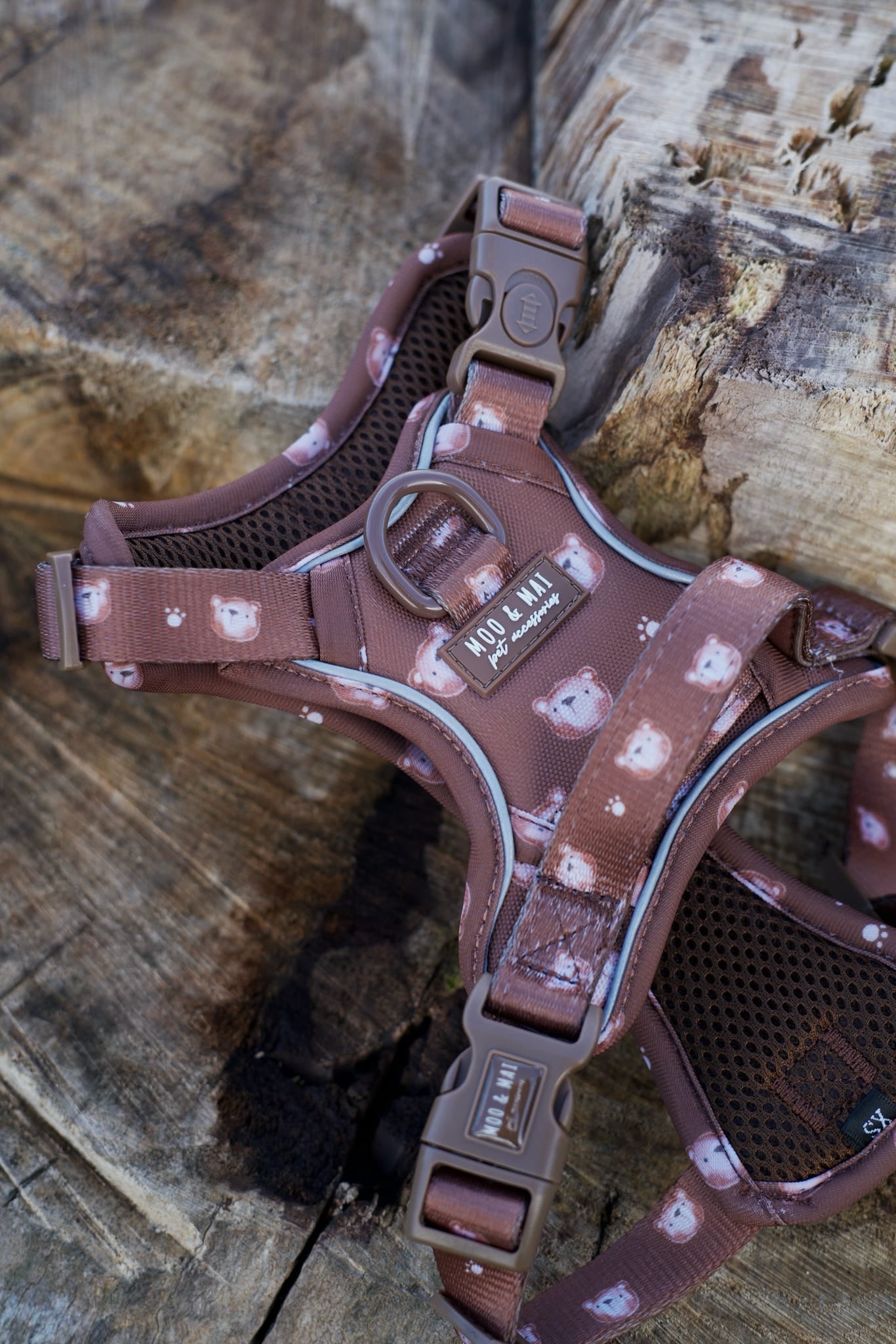 NEW ‘Beary Cute’ 3 Click Harness