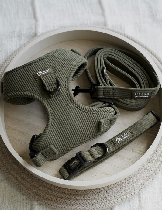 ‘Olive Branch’ 3 Piece Walkies Set