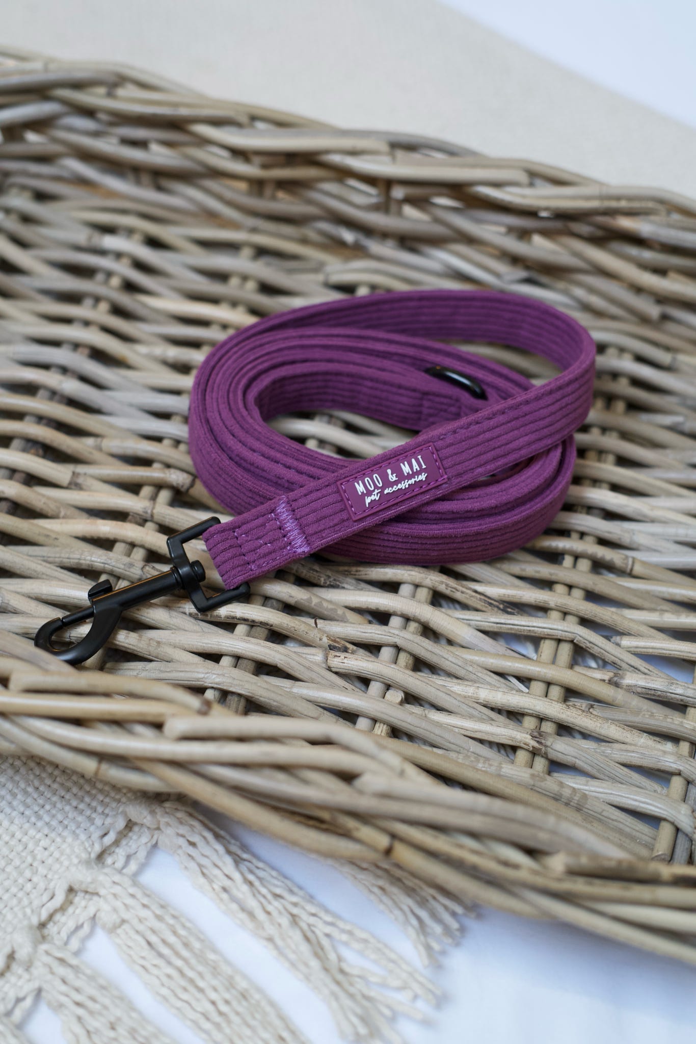 New ‘Frosted Plum’ Lead